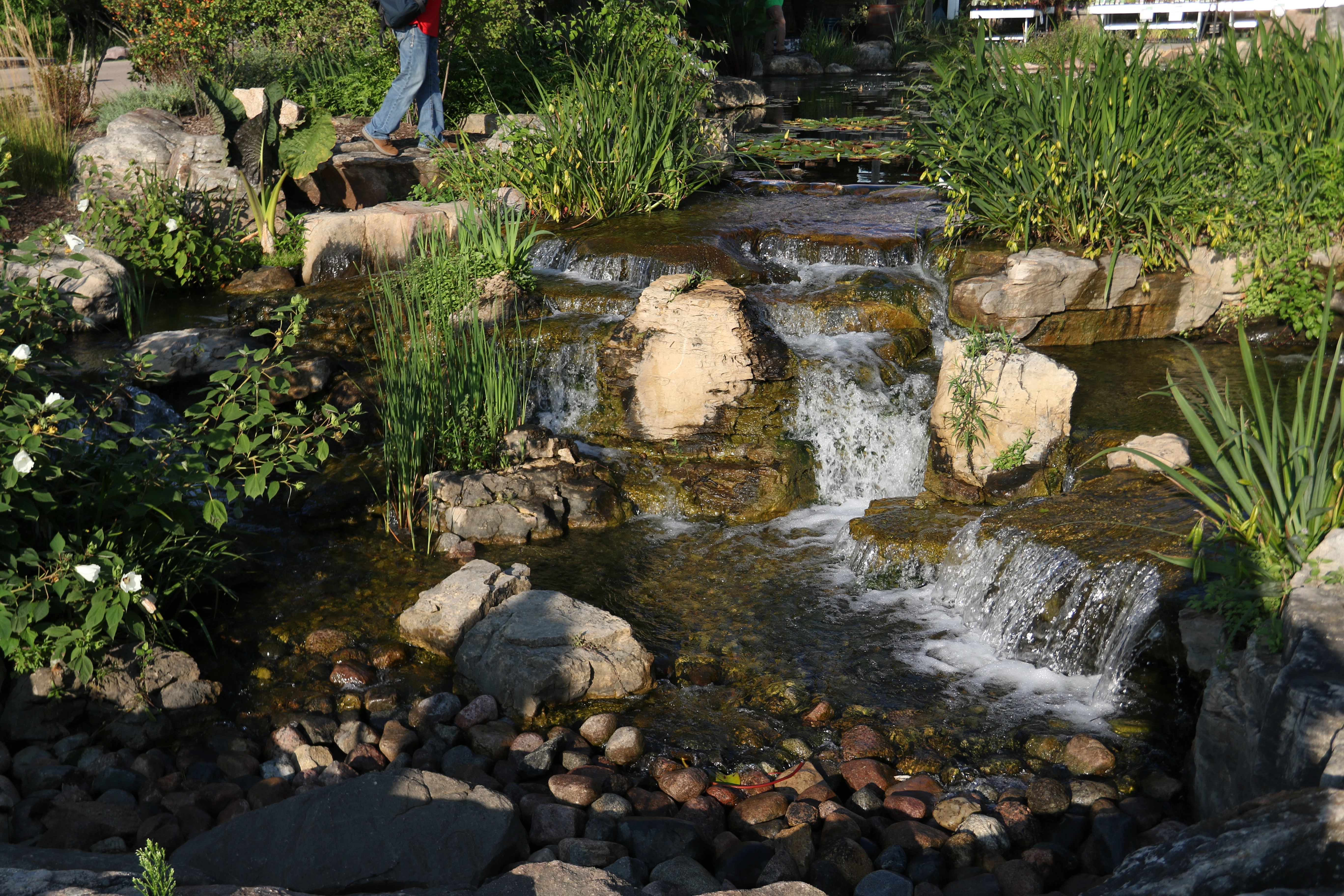 Negative edge ecosystem pond with waterfalls in Albert Lea Minnesota