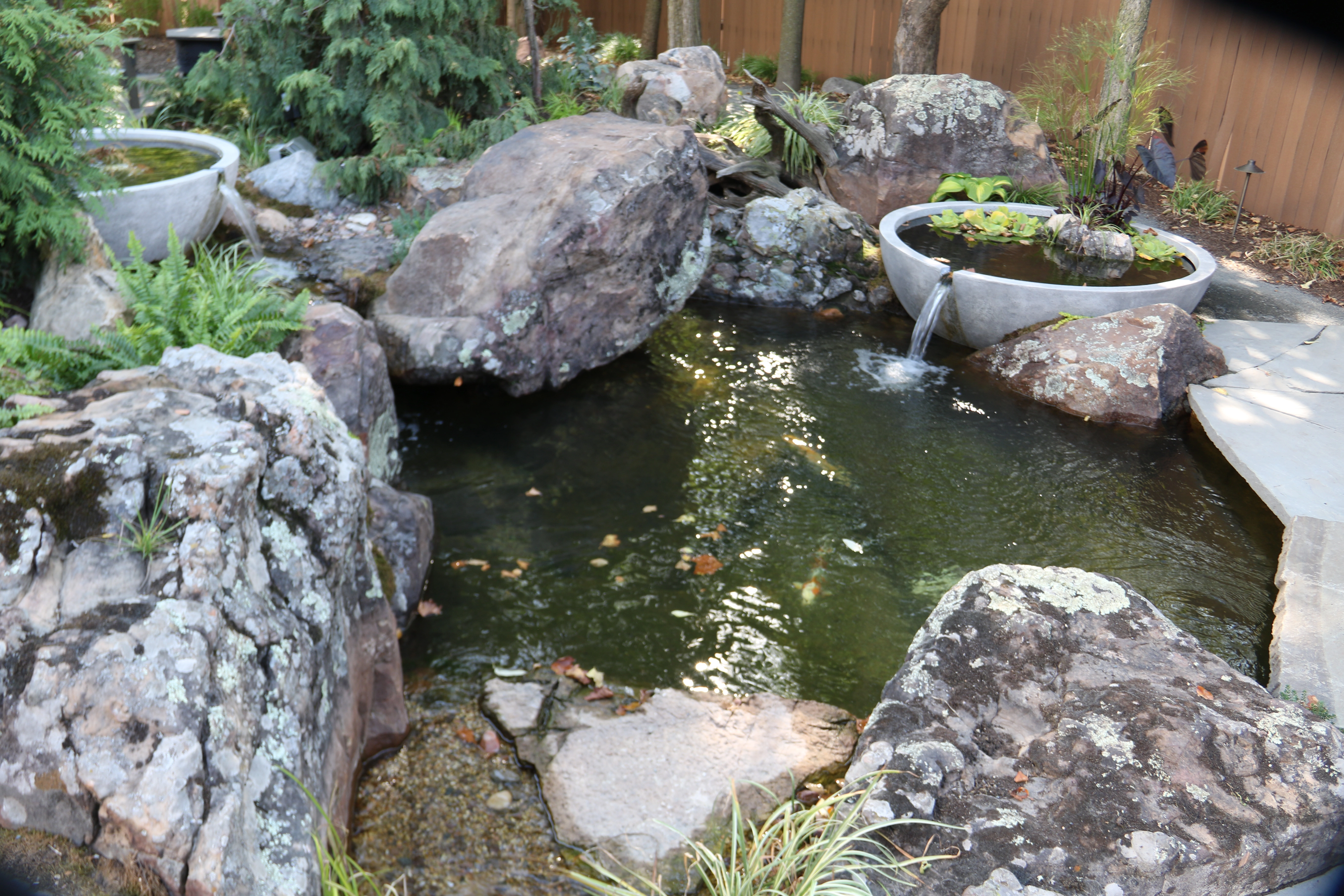 Small backyard ecosystem pond with patio seating in Apple Valley Minnesota