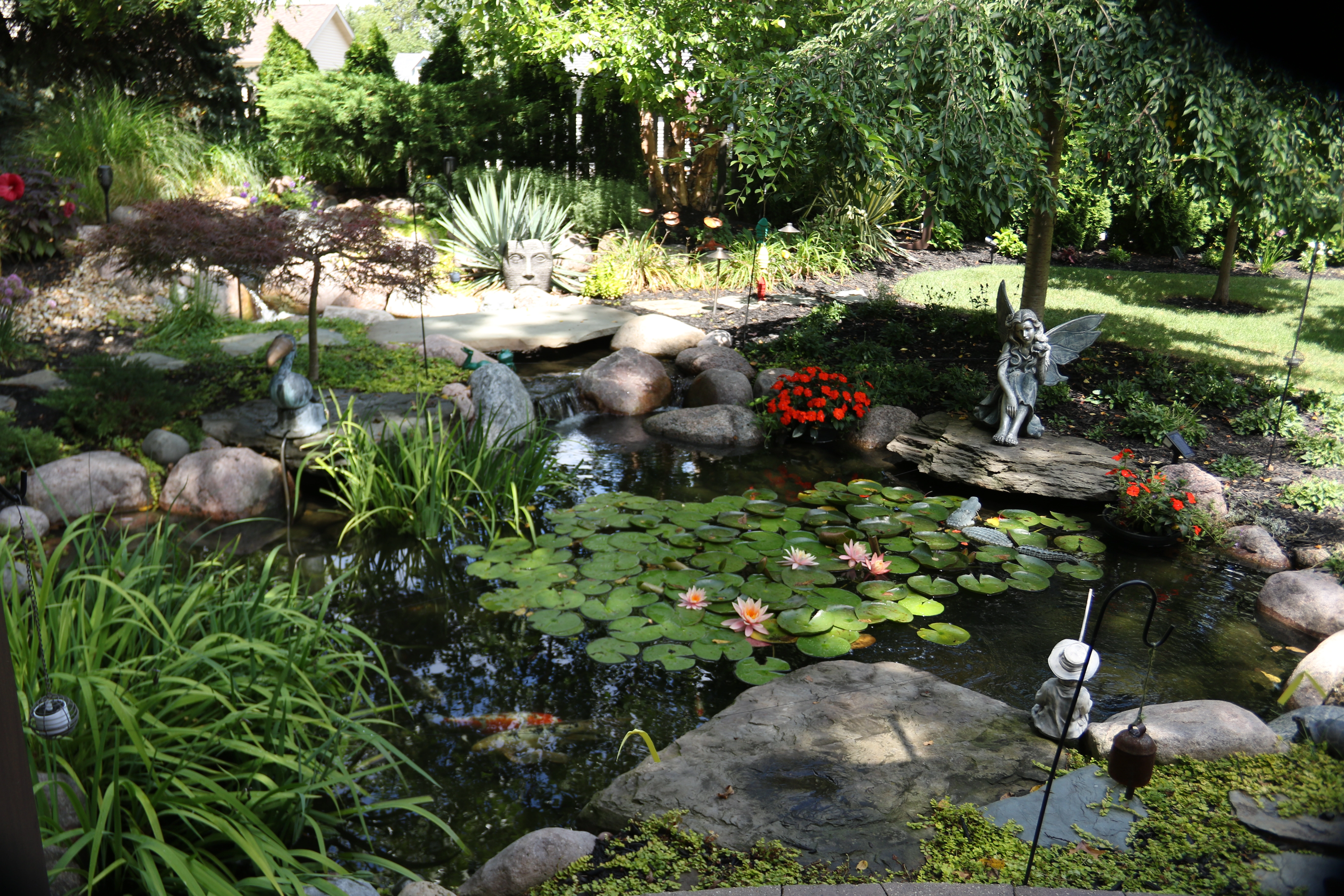 Healthy ecosystem pond with clear water, natural stone, aquatic plants, and waterfall circulation