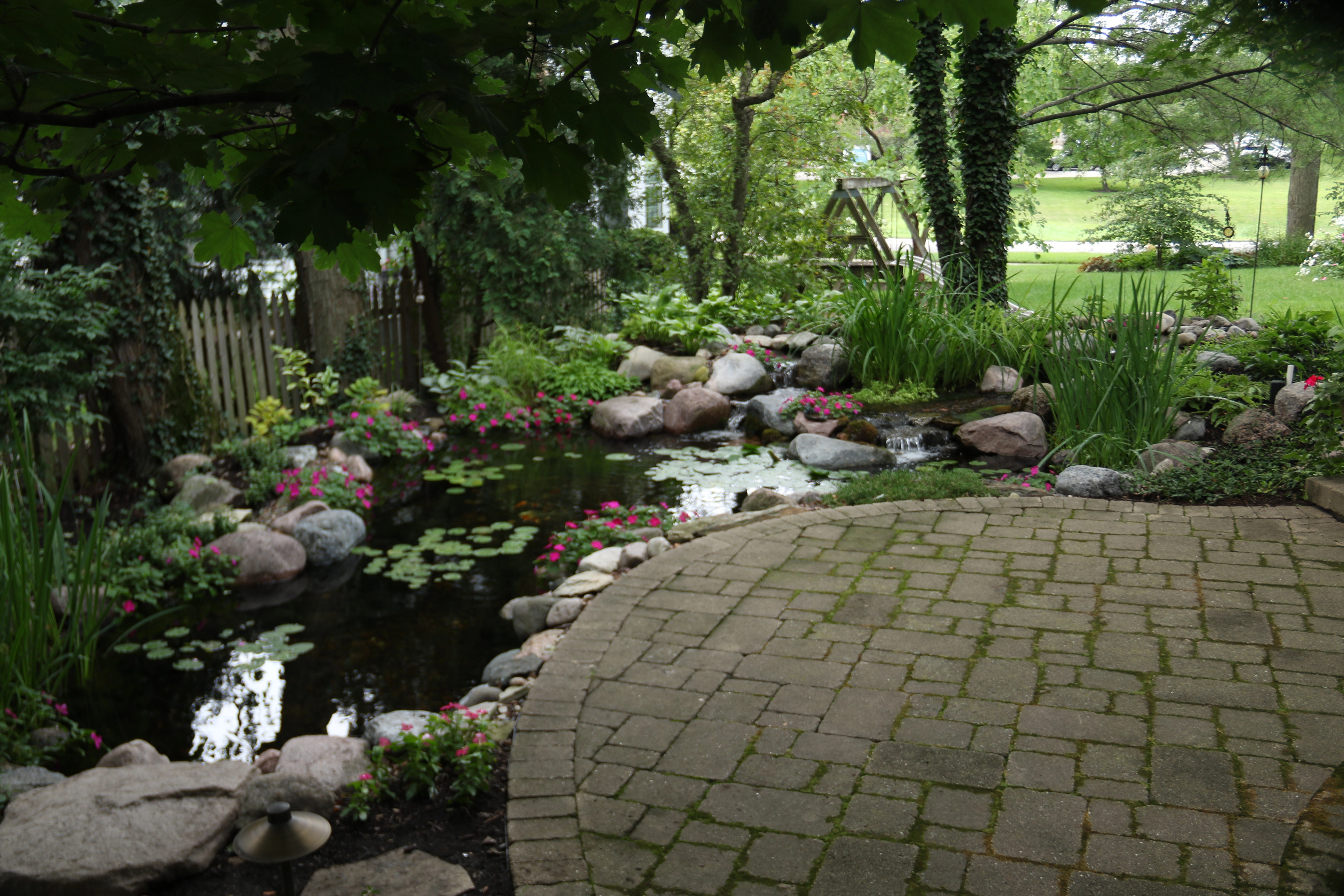 Ecosystem pond positioned directly beside a backyard patio