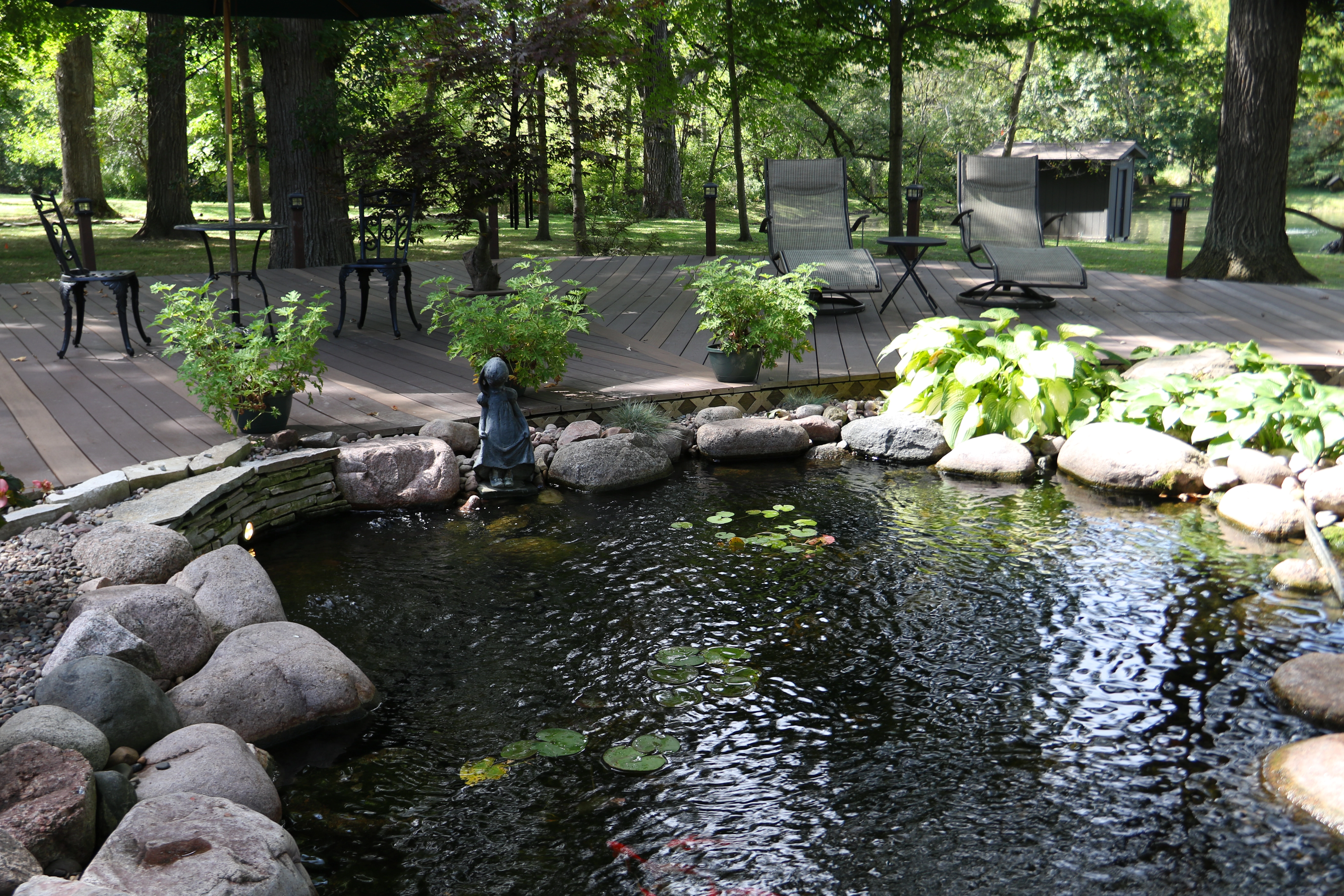 Ecosystem pond integrated into mature backyard landscaping