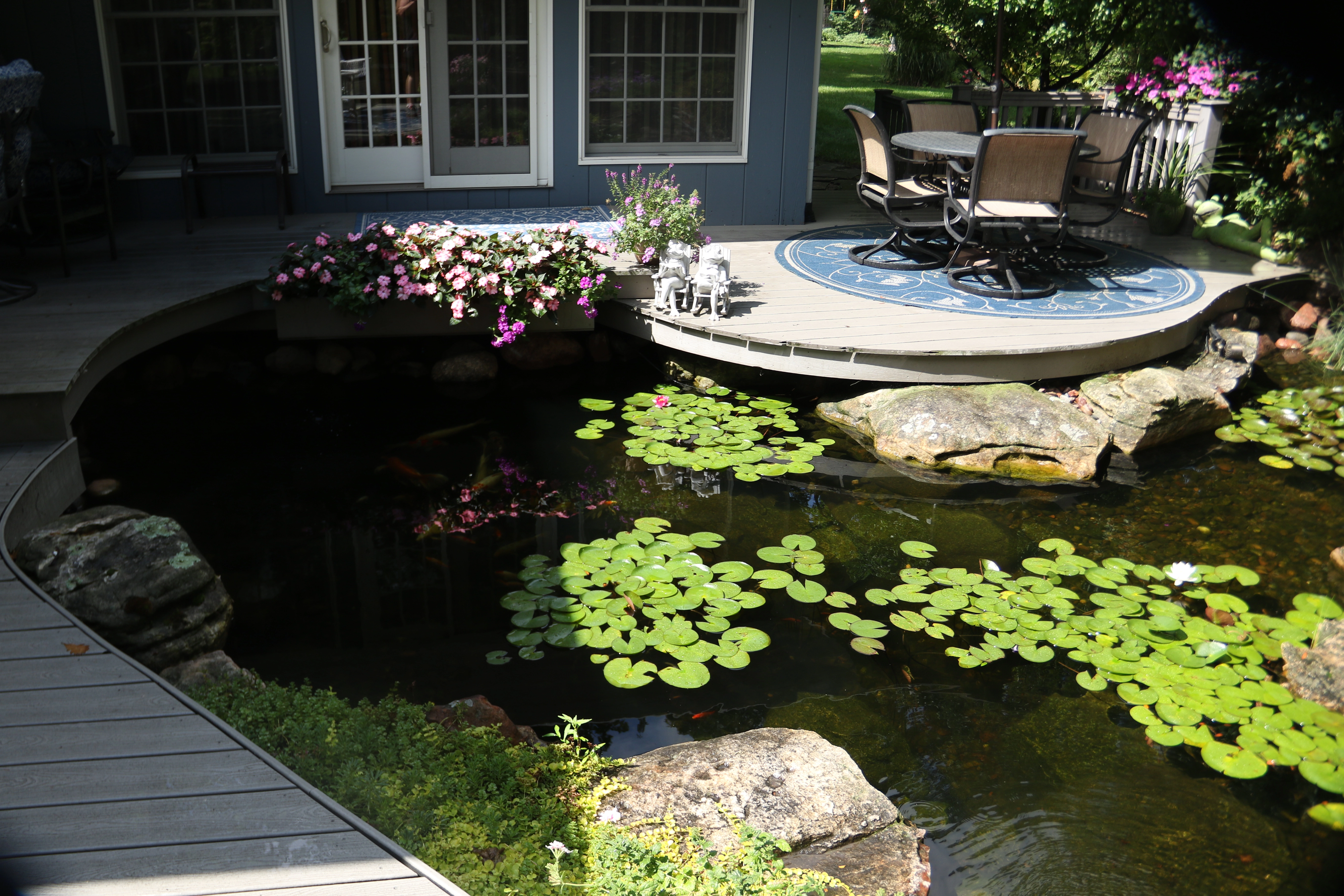 Ecosystem pond with clear water