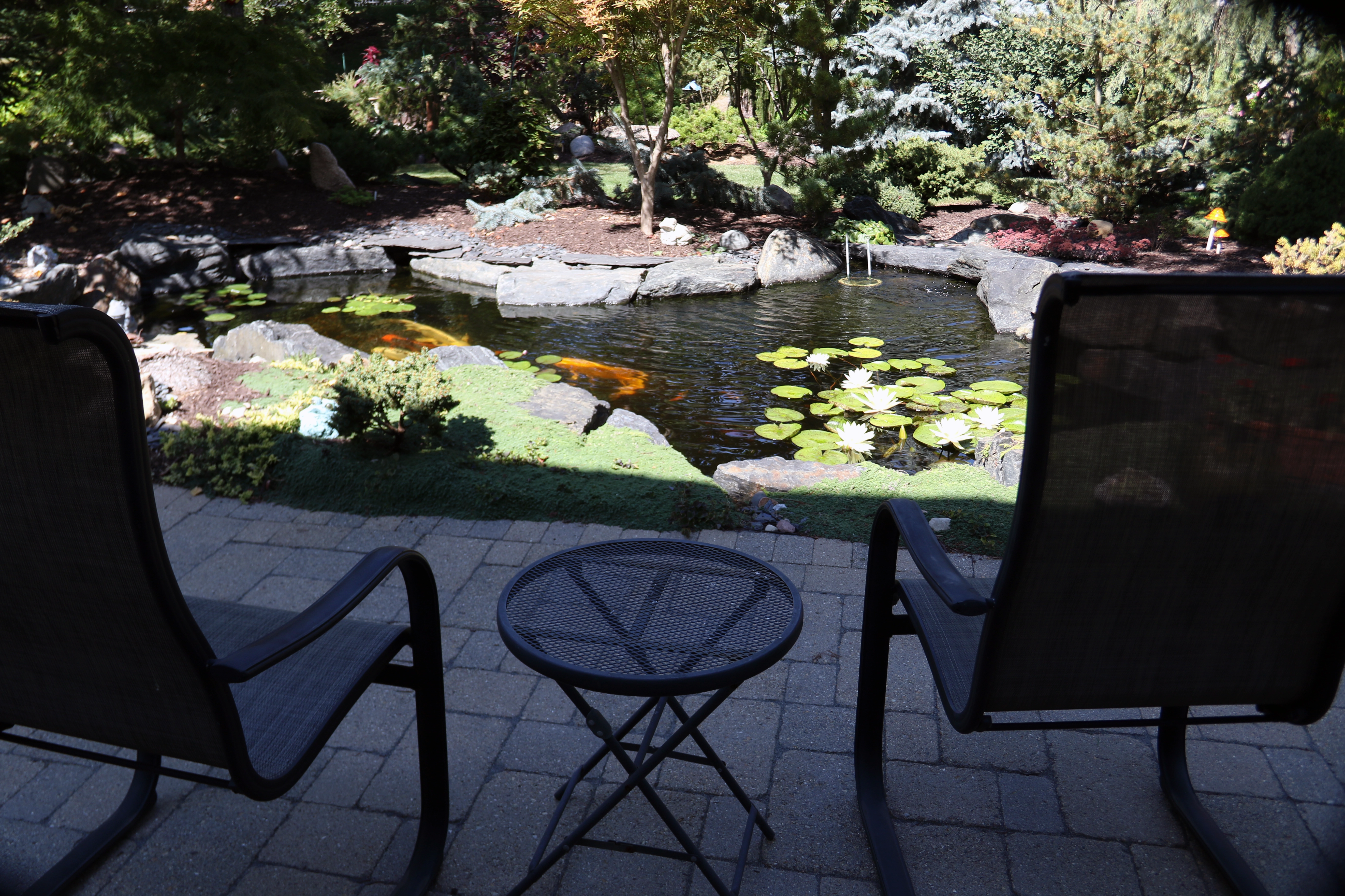 Water feature viewed as part of an outdoor living space