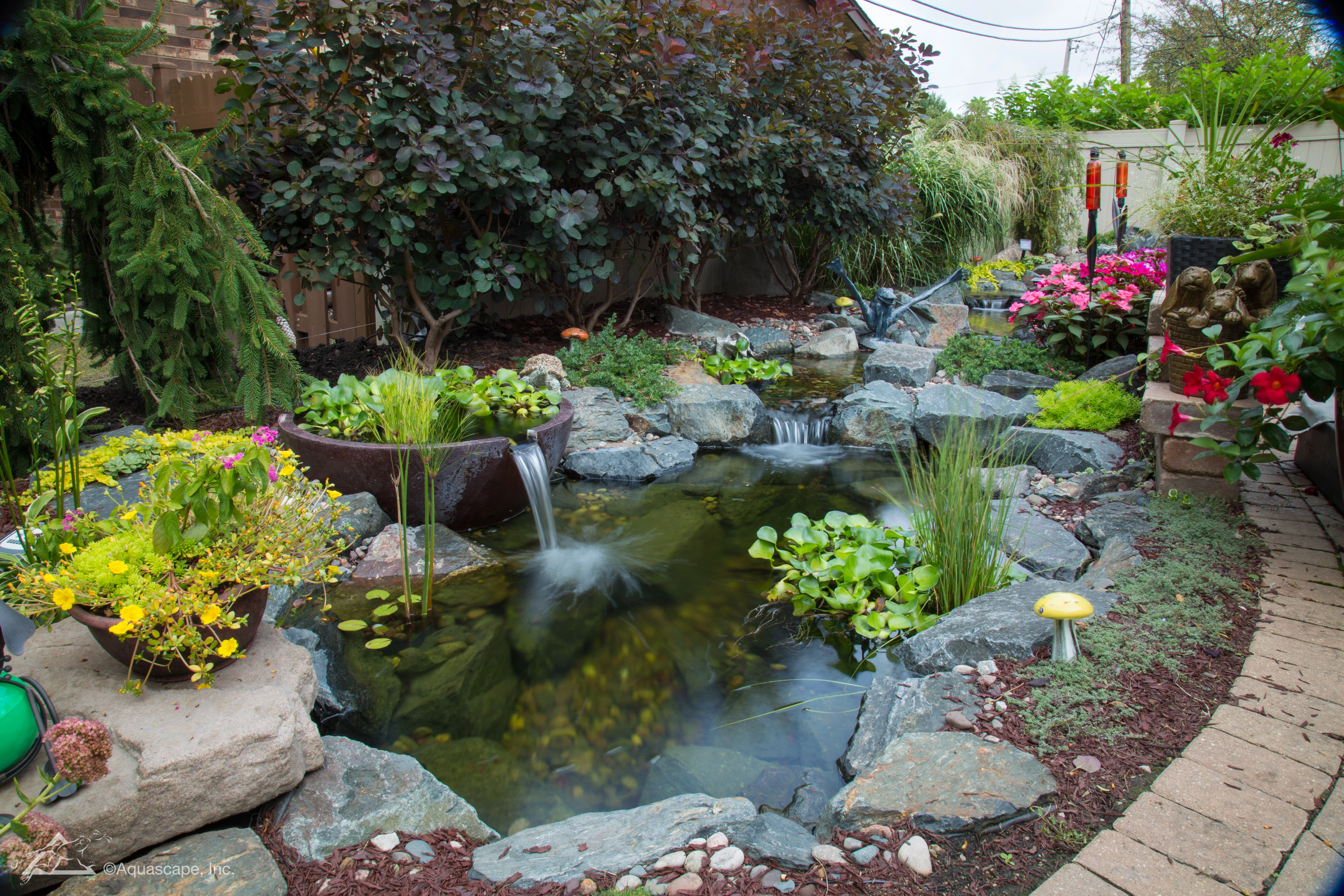 Ecosystem pond with waterfall serving the Chanhassen Minnesota area