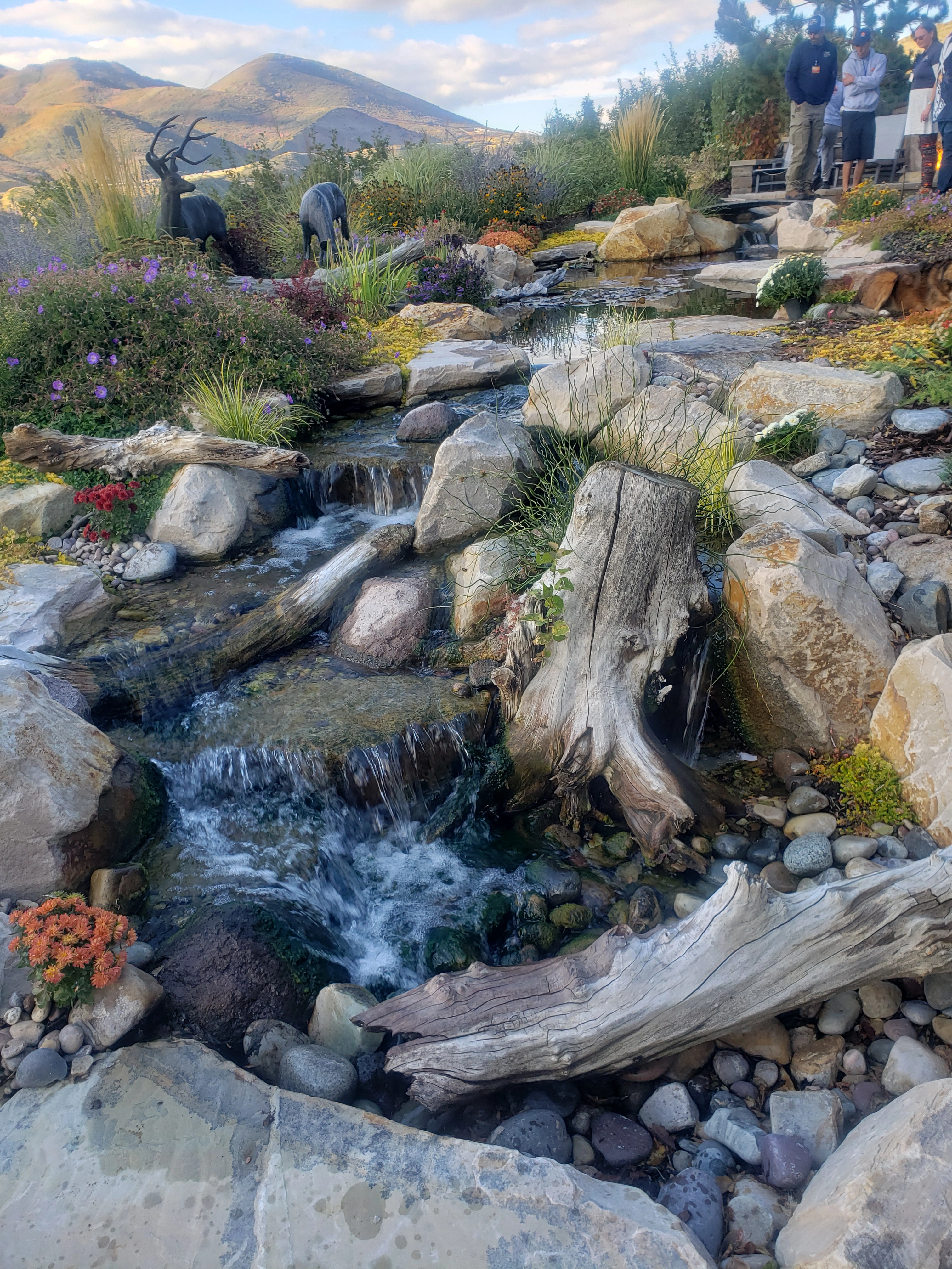 Premium finished negative edge waterfall with natural stone and driftwood