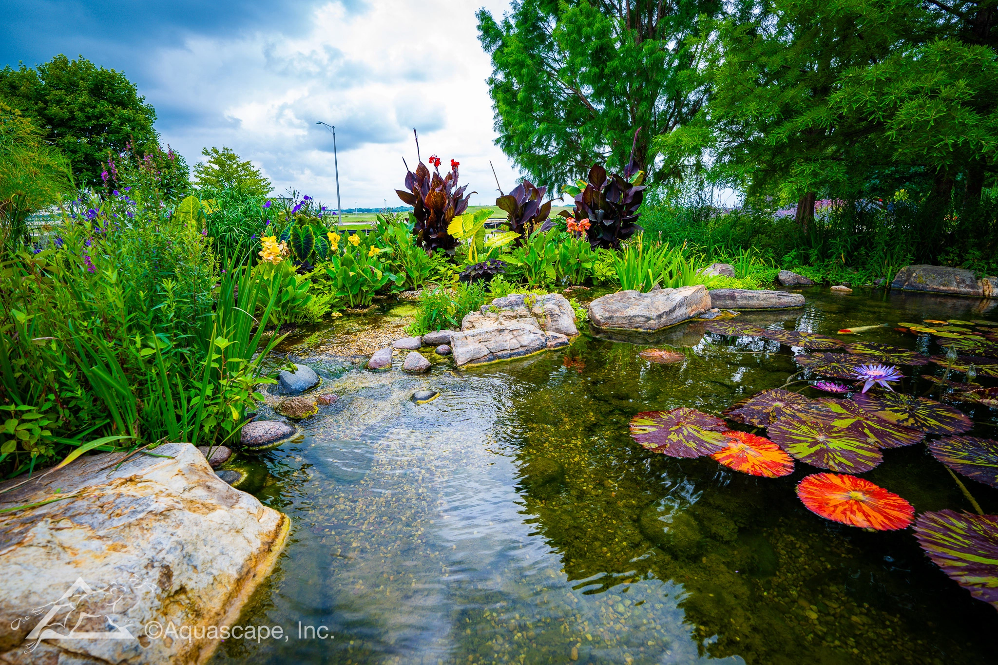 Tropical plants and lush water feature landscaping near Farmington Minnesota