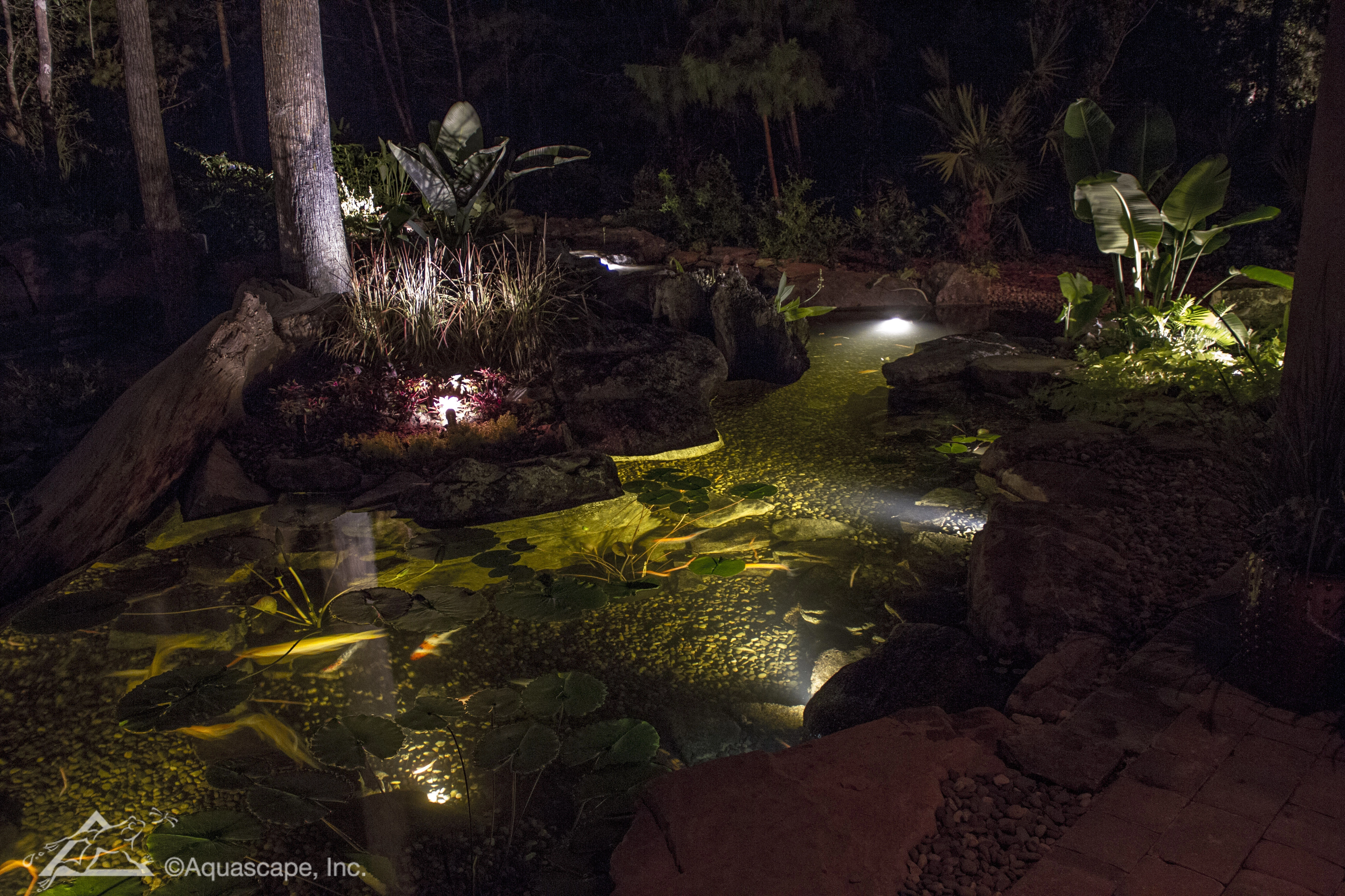 Nighttime pond and landscape lighting in Granite Falls Minnesota