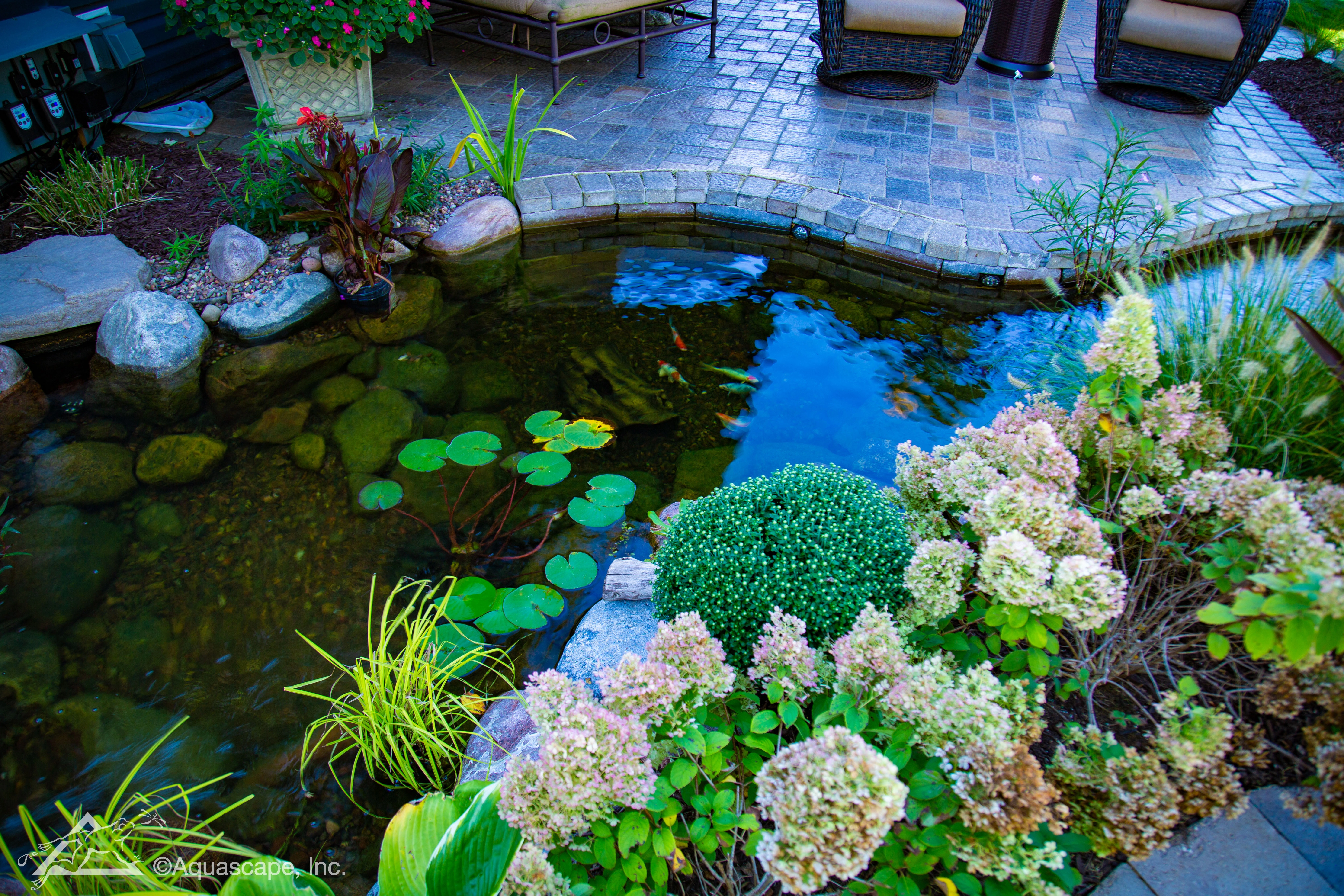 Premium pond edge detail for a Greenwood Minnesota water feature