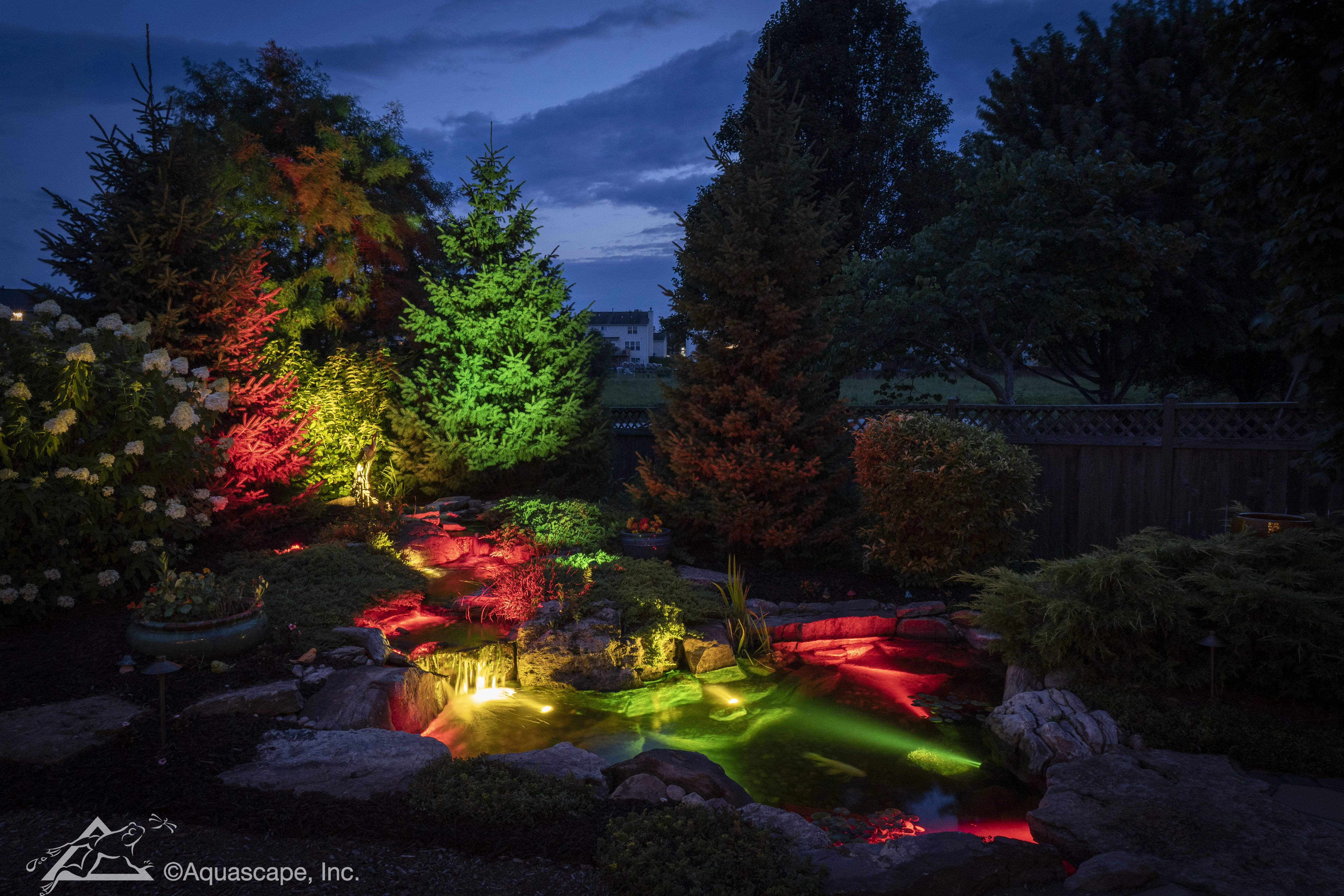 Color-changing lights in a night-time ecosystem pond
