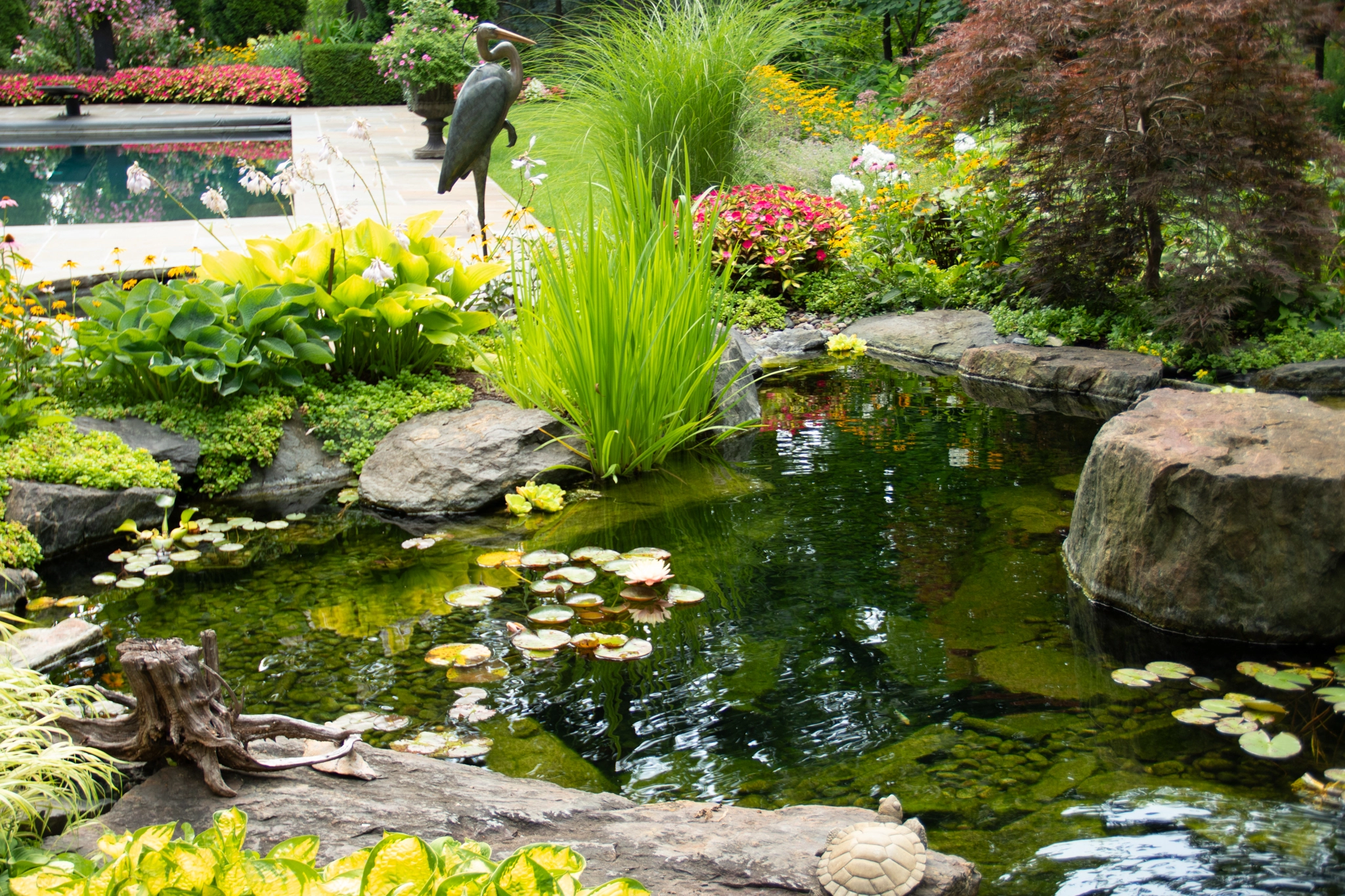 Ecosystem pond with natural stone edging and aquatic plants in a backyard landscape