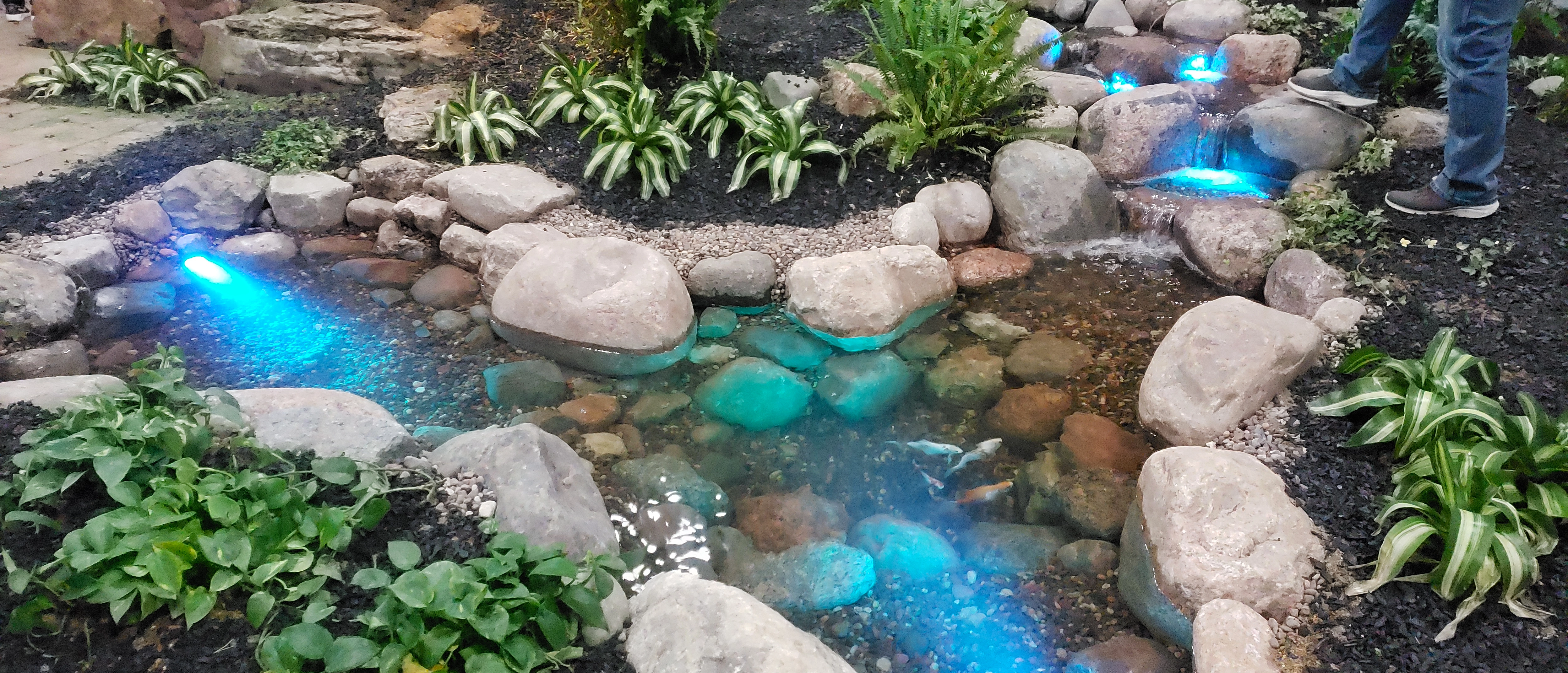 Backyard ecosystem pond with waterfall and lighting in Inver Grove Heights Minnesota