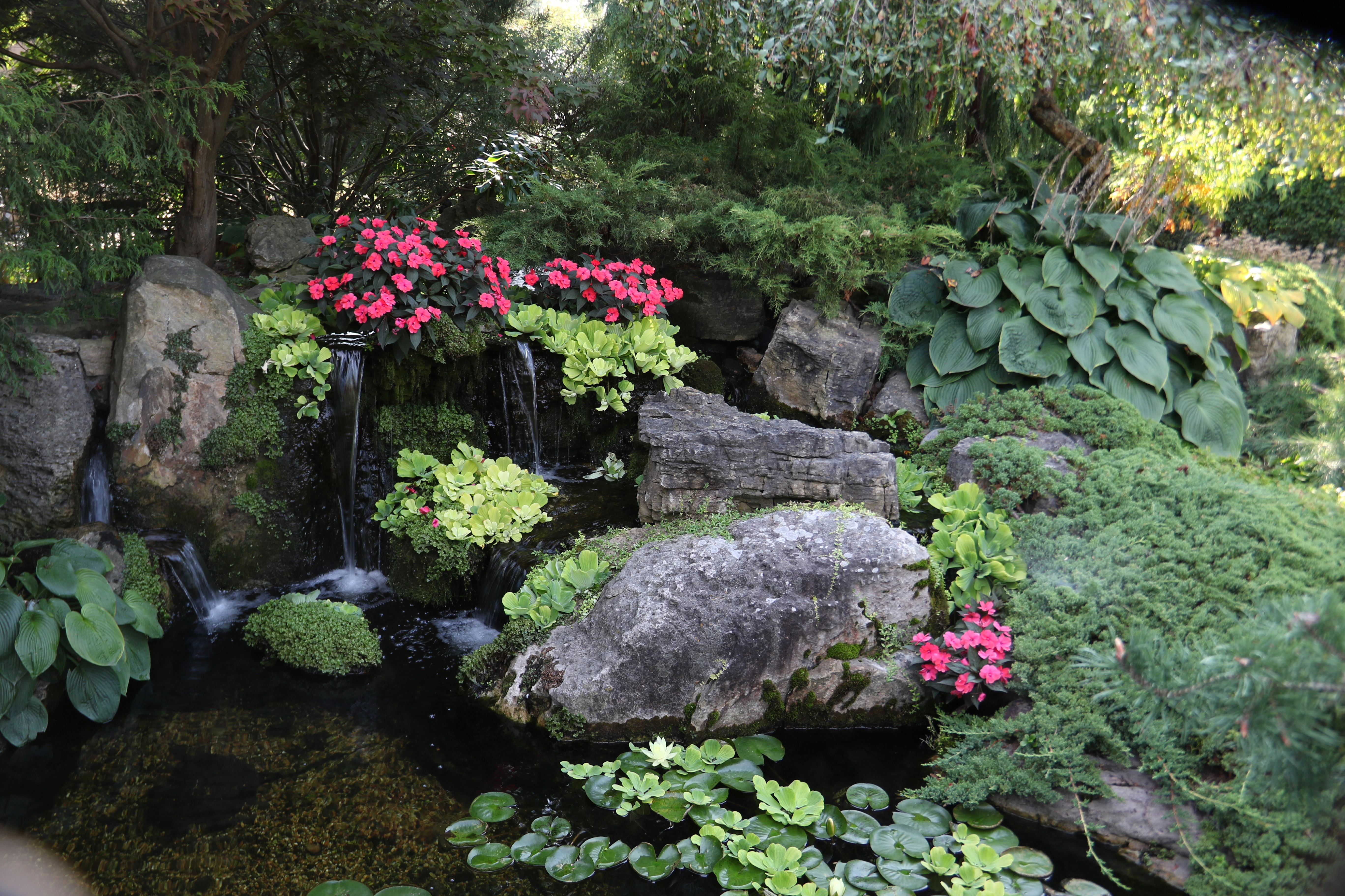 Mature backyard pond landscape with layered plants, natural stone, and seating area