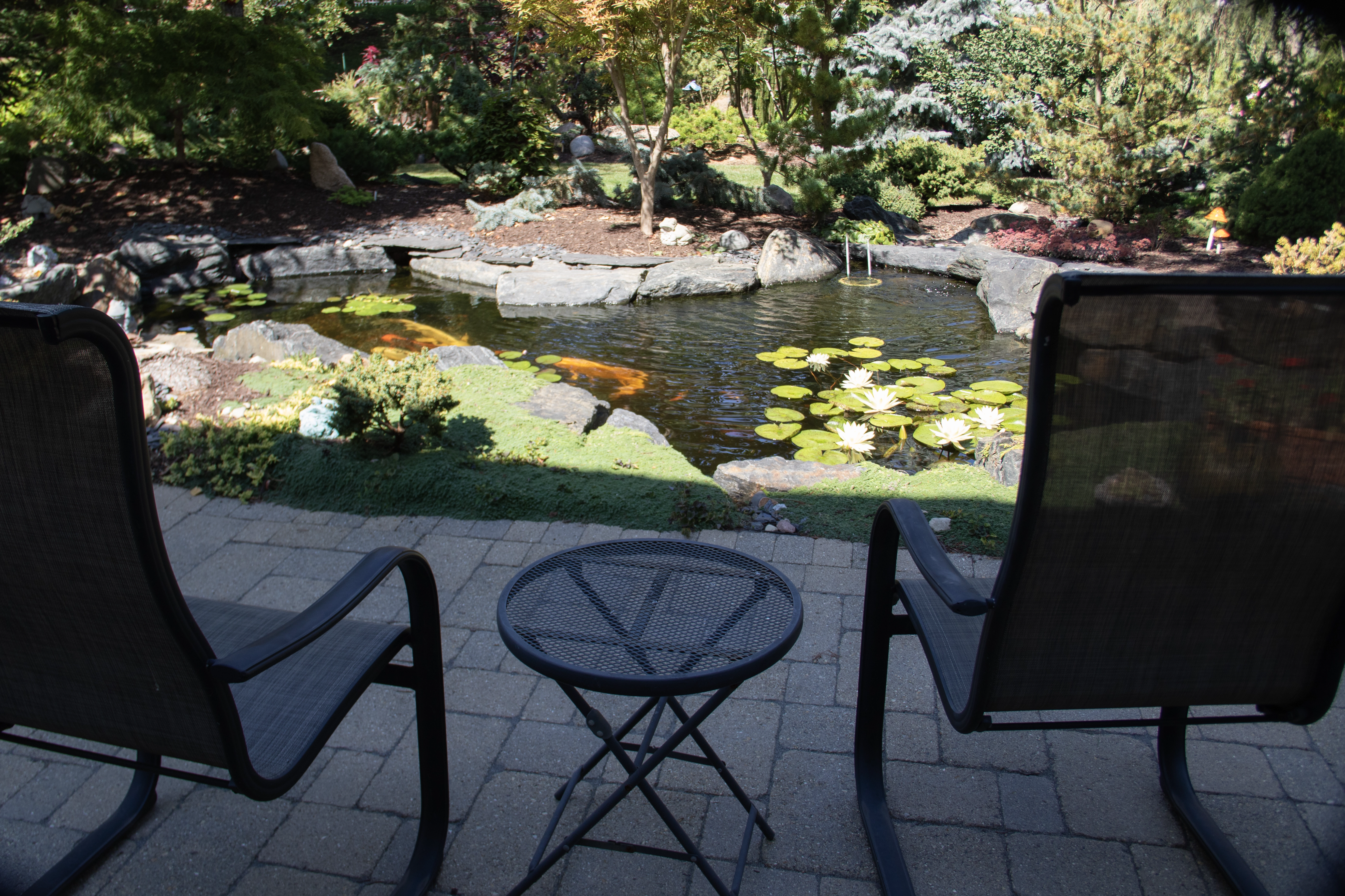 Custom ecosystem pond with waterfall built for a Southern Minnesota property near Mankato