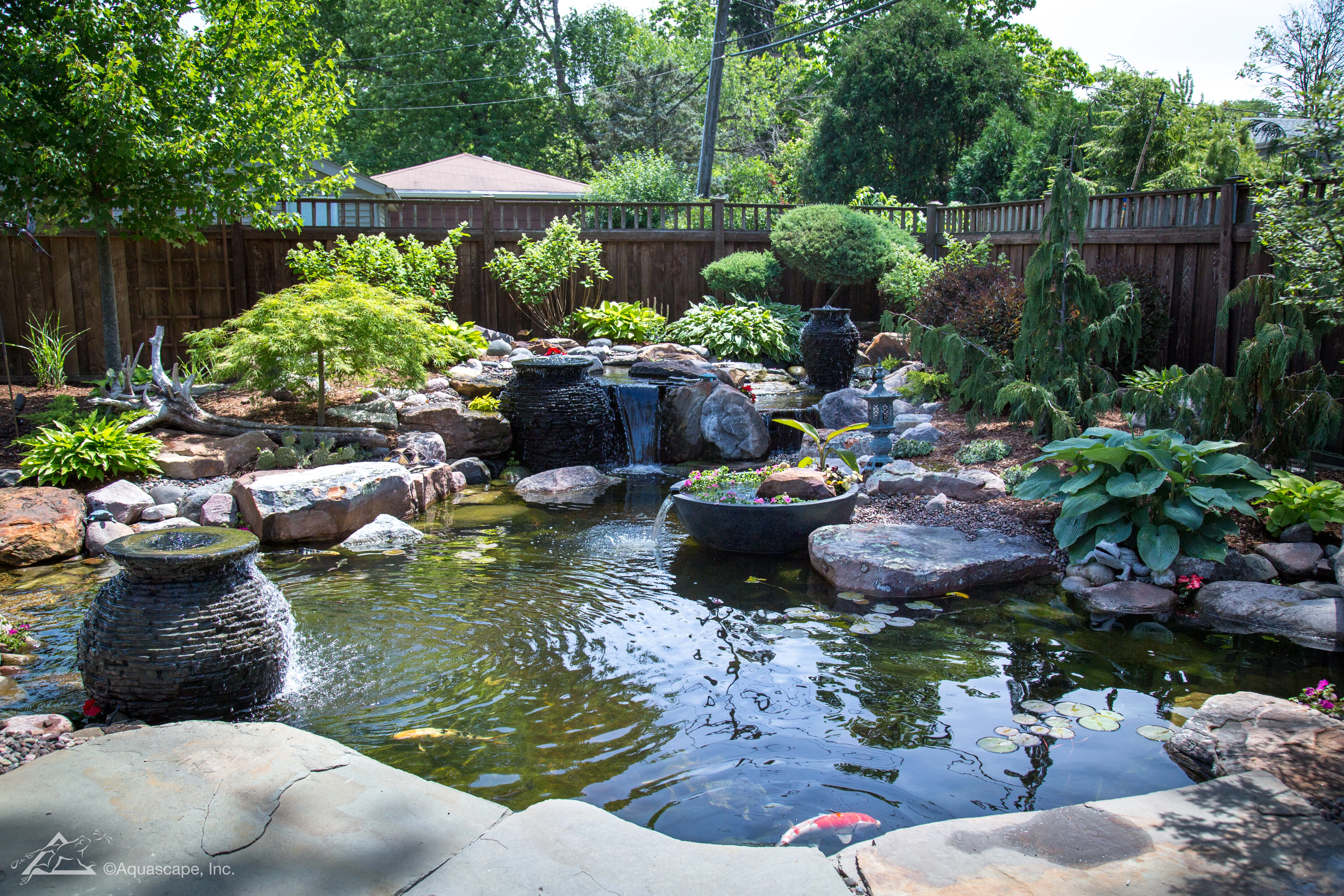 Backyard ecosystem pond with fountains in Maple Grove Minnesota