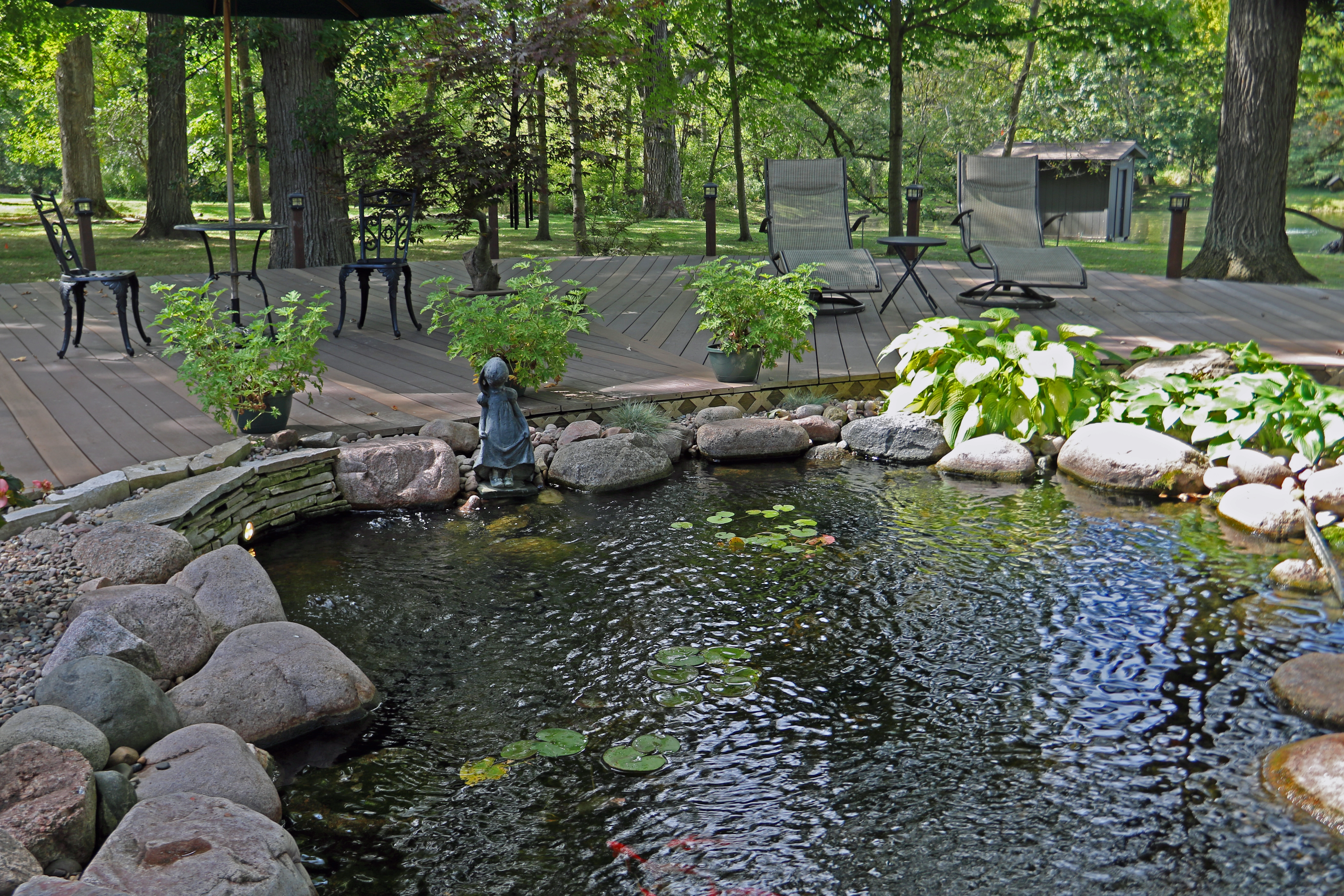 Crystal clear ecosystem pond with fish and aquatic plants in New Ulm Minnesota