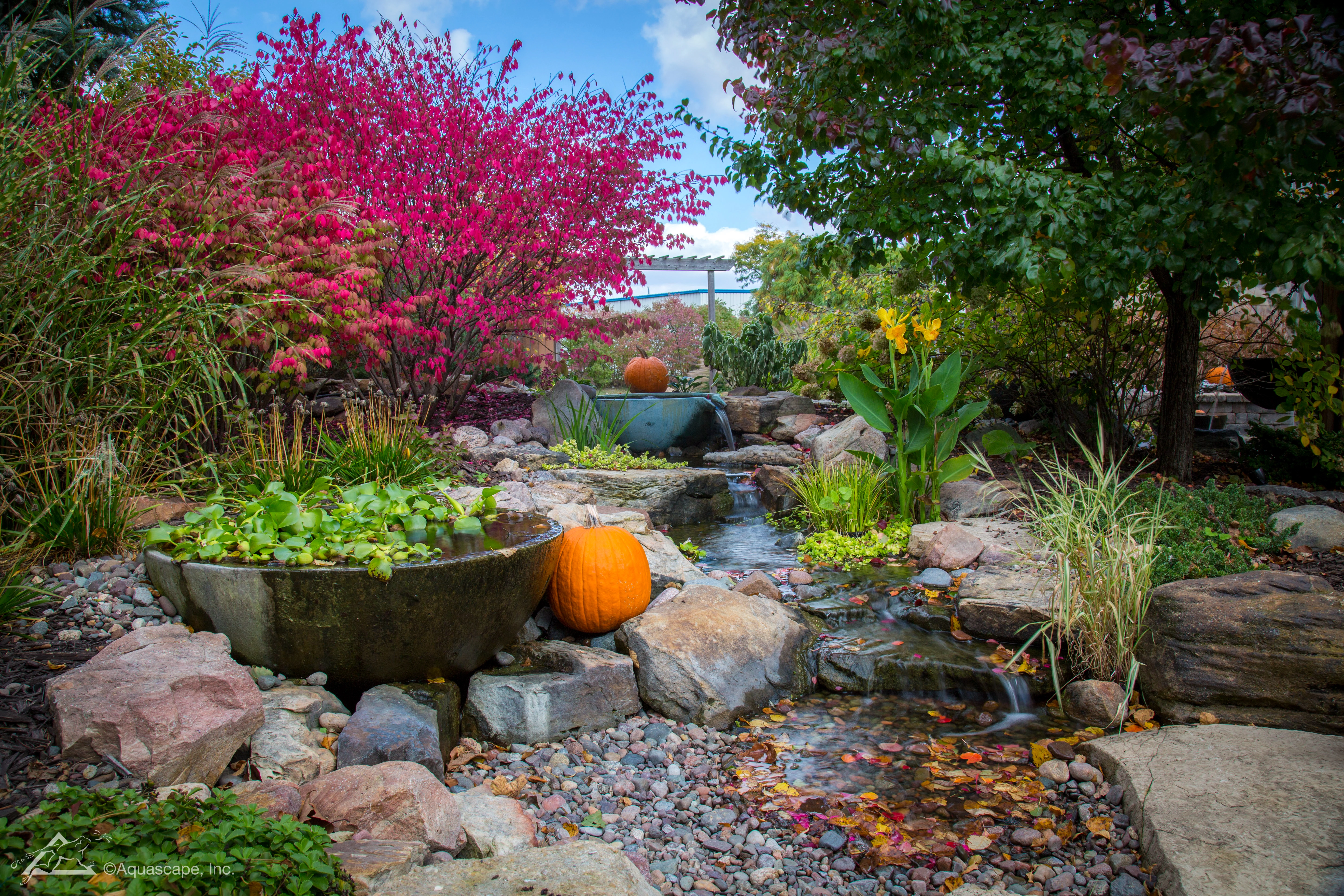 Fall backyard water feature with stream and colorful landscaping in North Oaks Minnesota