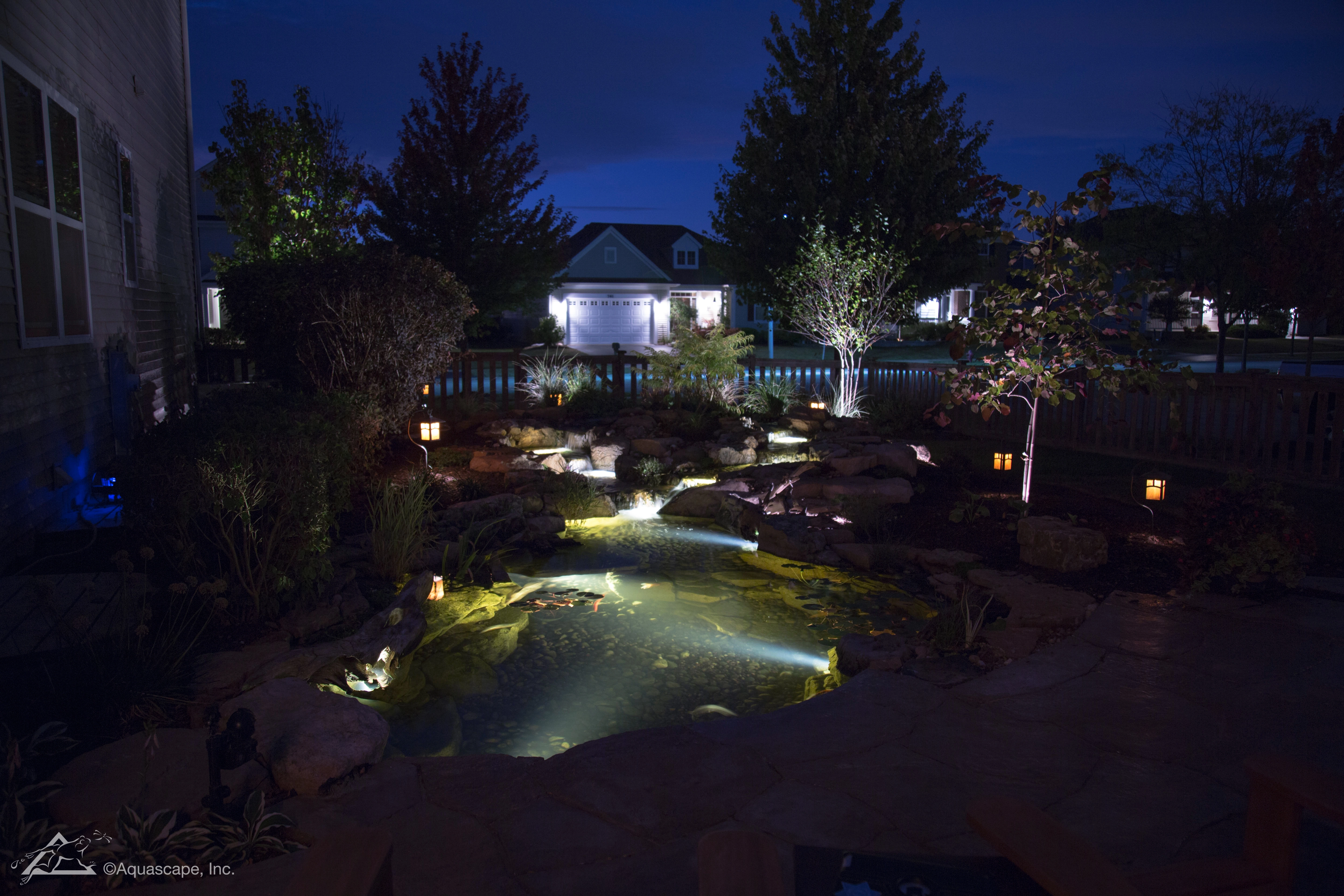 Nighttime backyard ecosystem pond with lighting for a Prior Lake Minnesota property