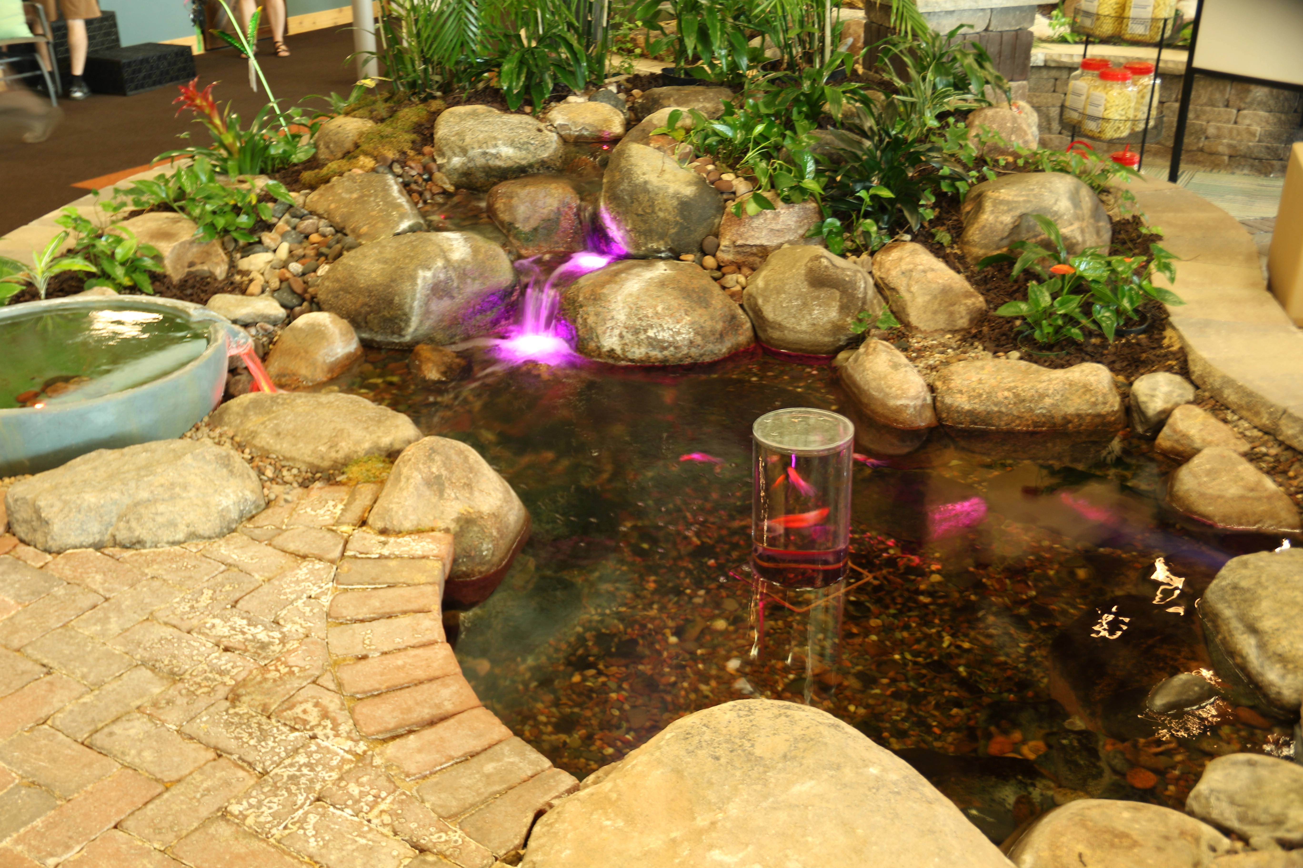 Medium-sized backyard ecosystem pond with rock edges and moving water