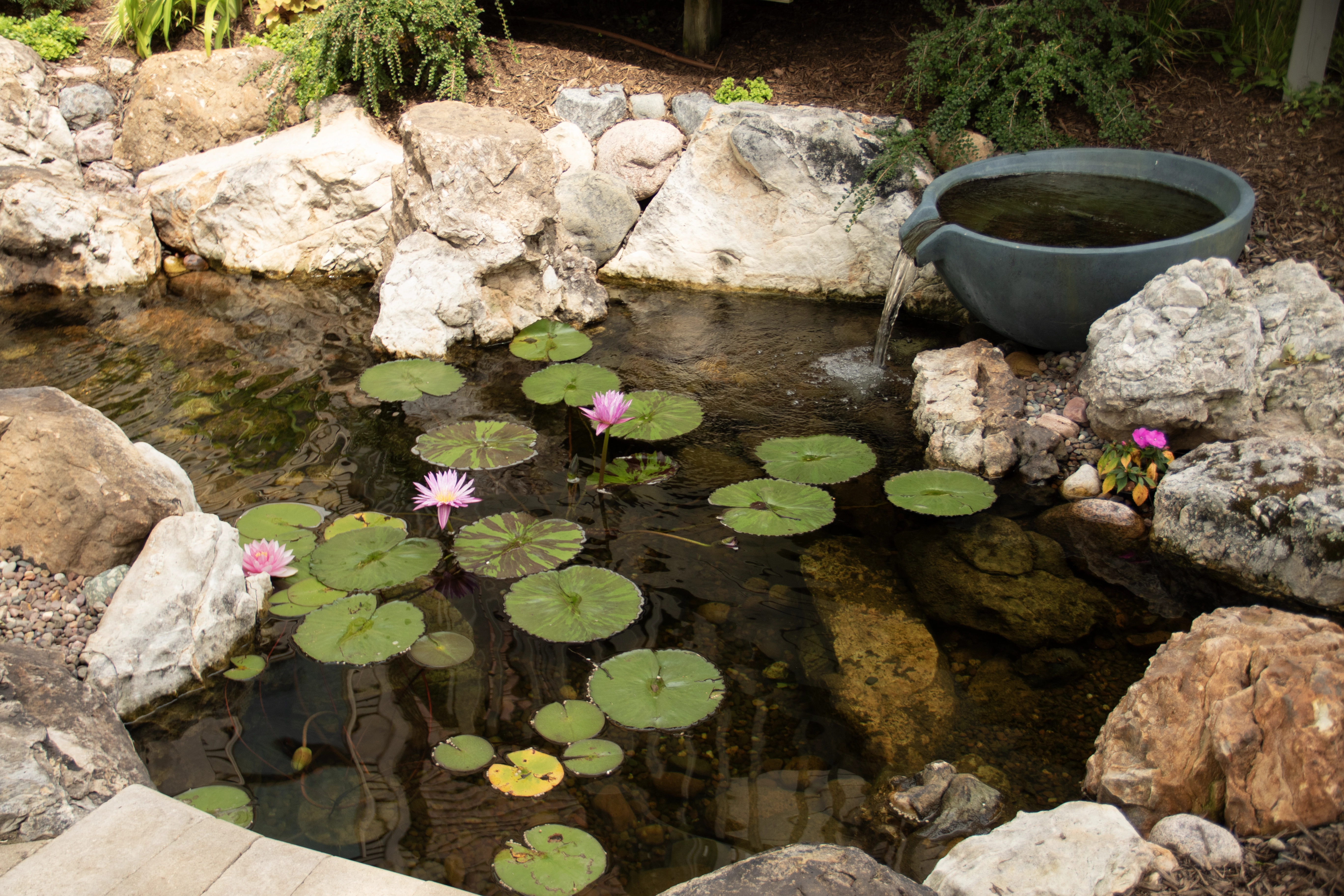 An ecosystem pond with spillway bowl seen on pond tour in St. Charles, IL