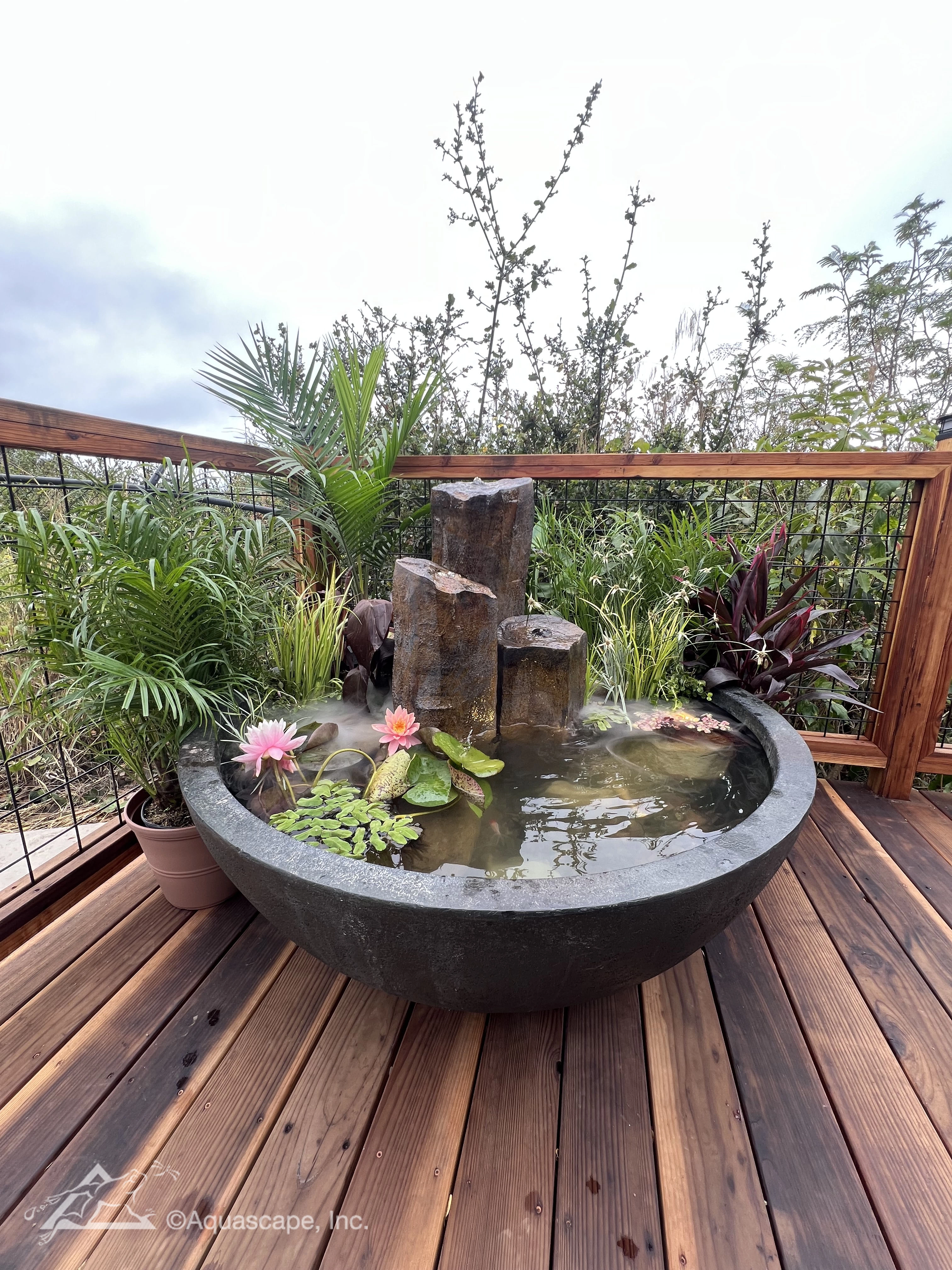 a fountain within a fountain bowl
