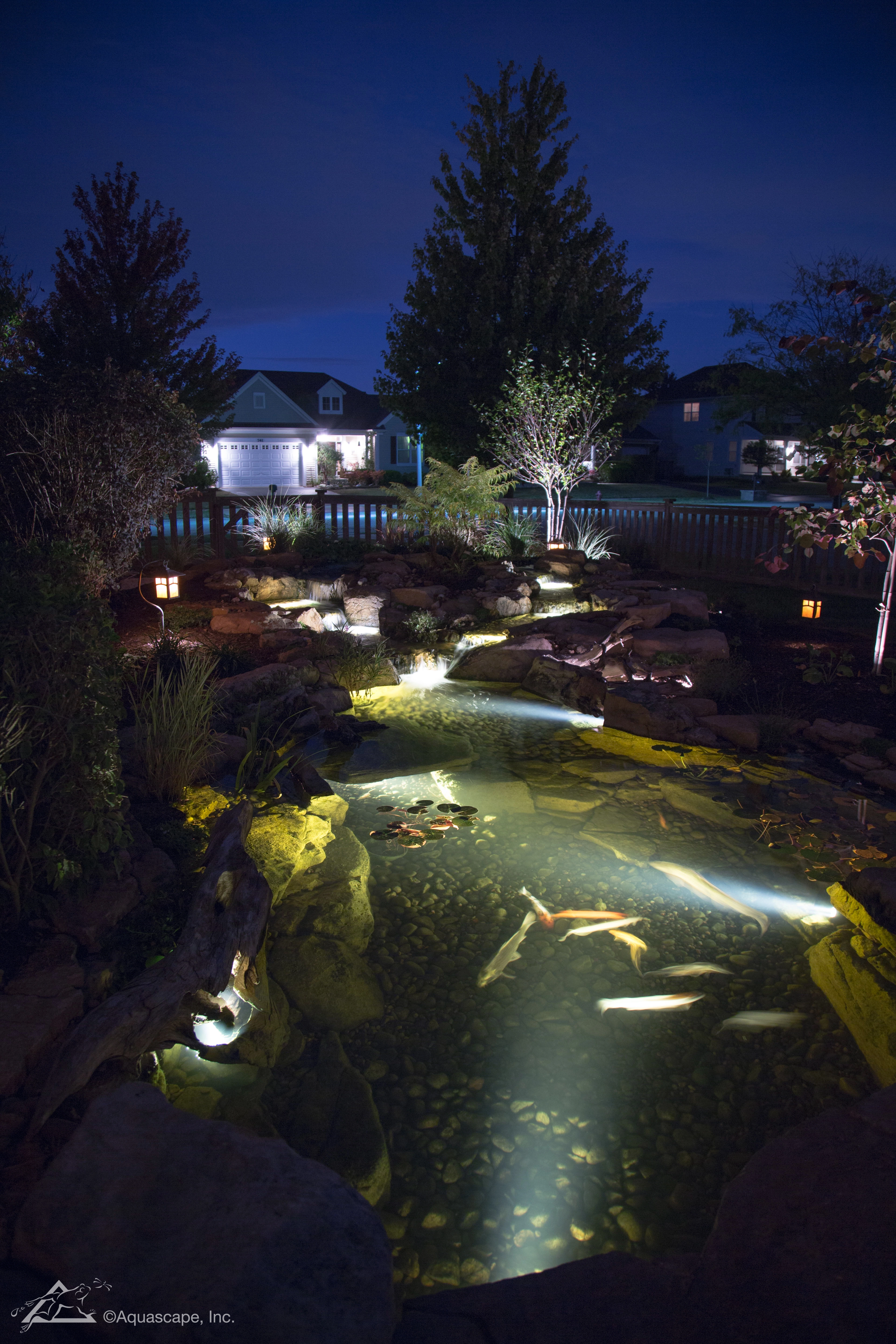 an ecosystem pond lit up with warm white lights