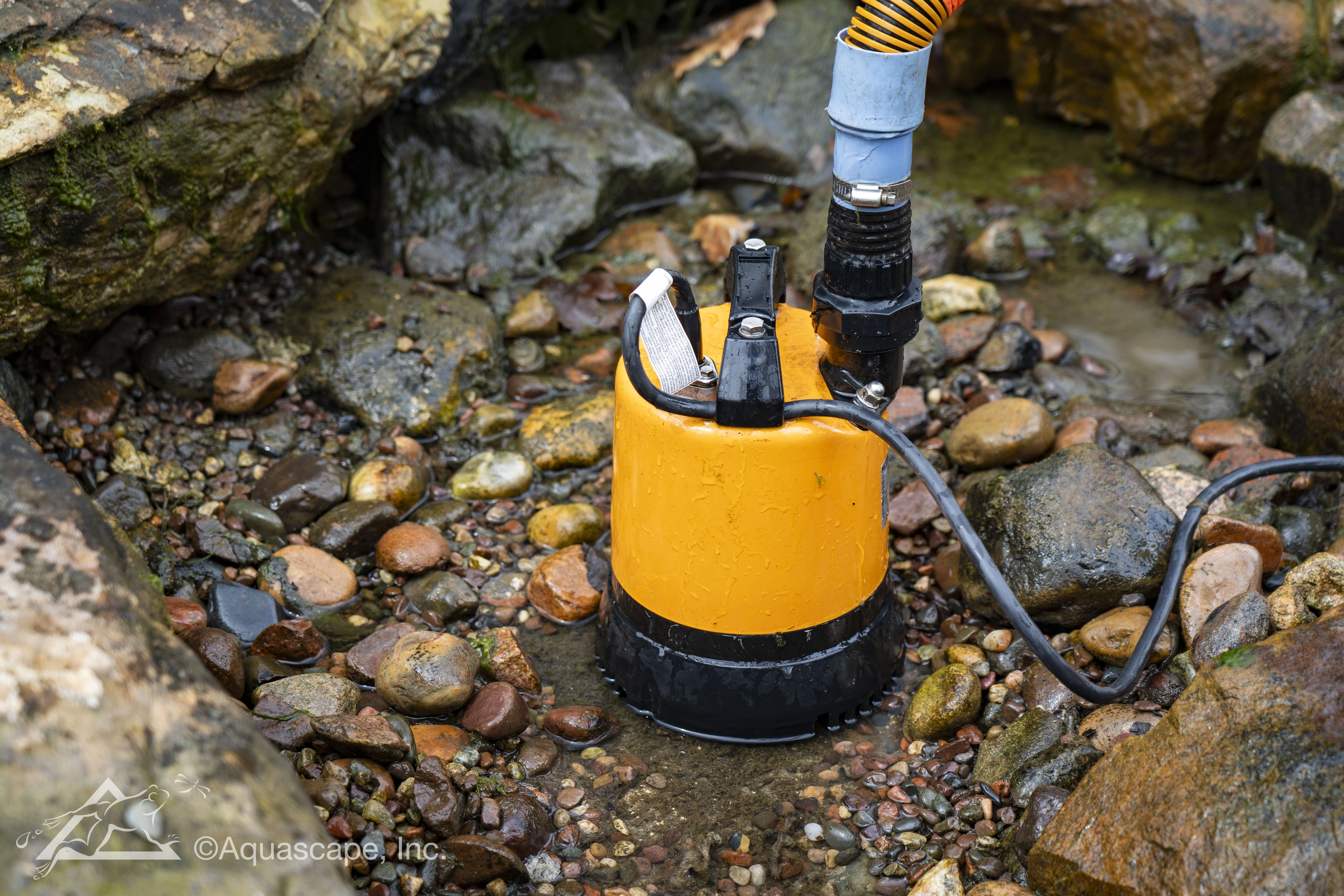 Draining the pond with a cleanout pump