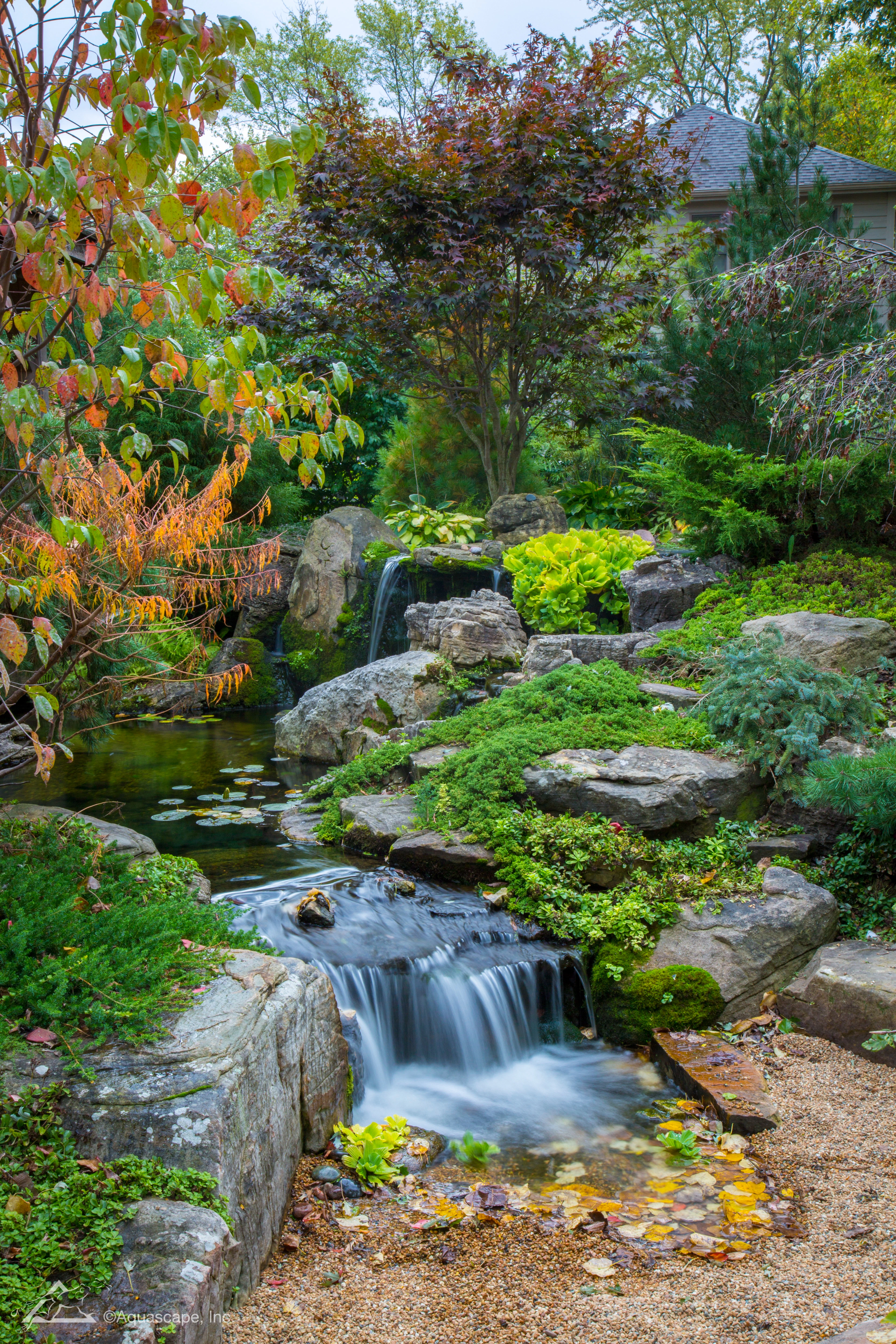 Autumn backyard water feature with pond and waterfall in Shakopee Minnesota