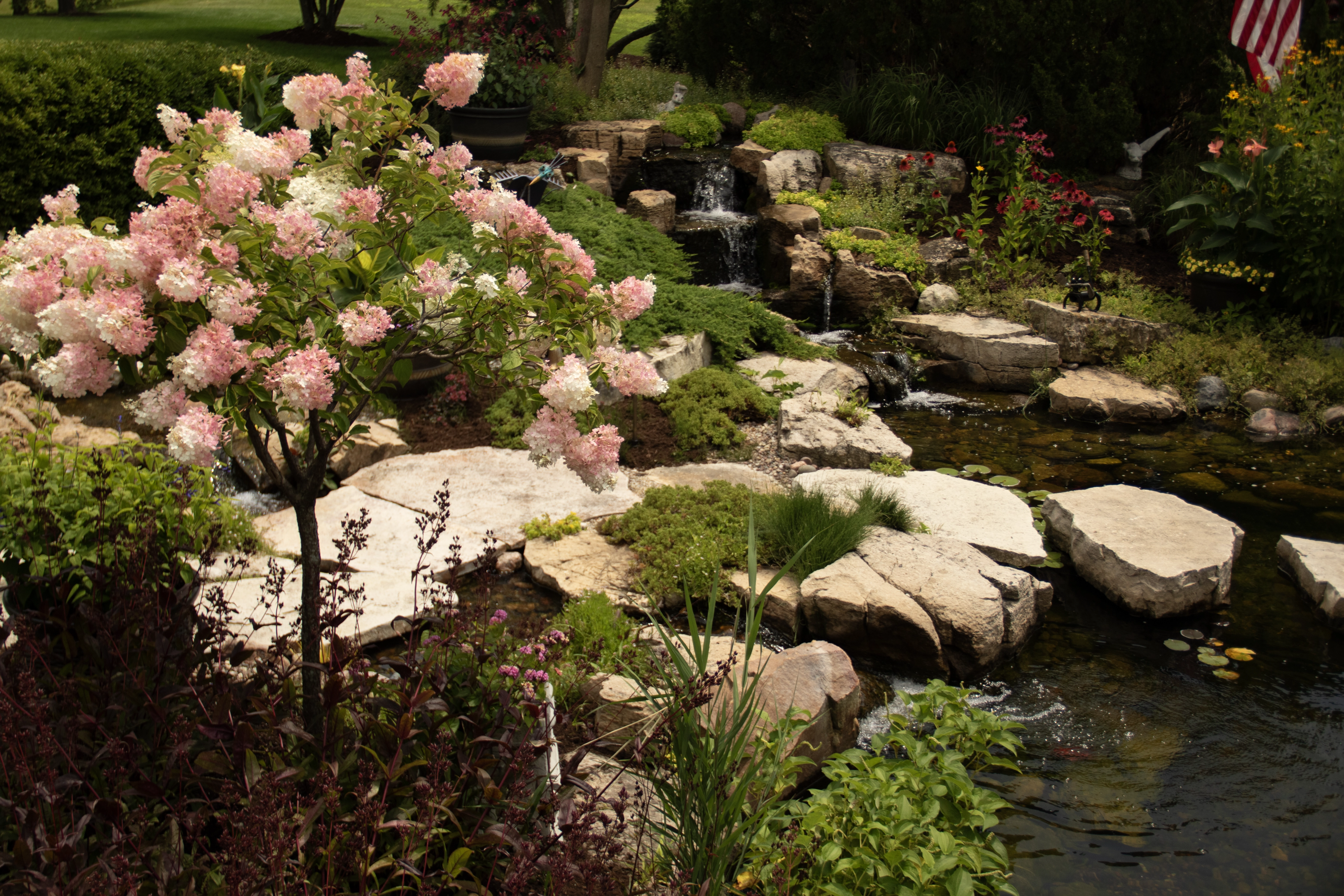 Custom ecosystem pond built in Southern Minnesota