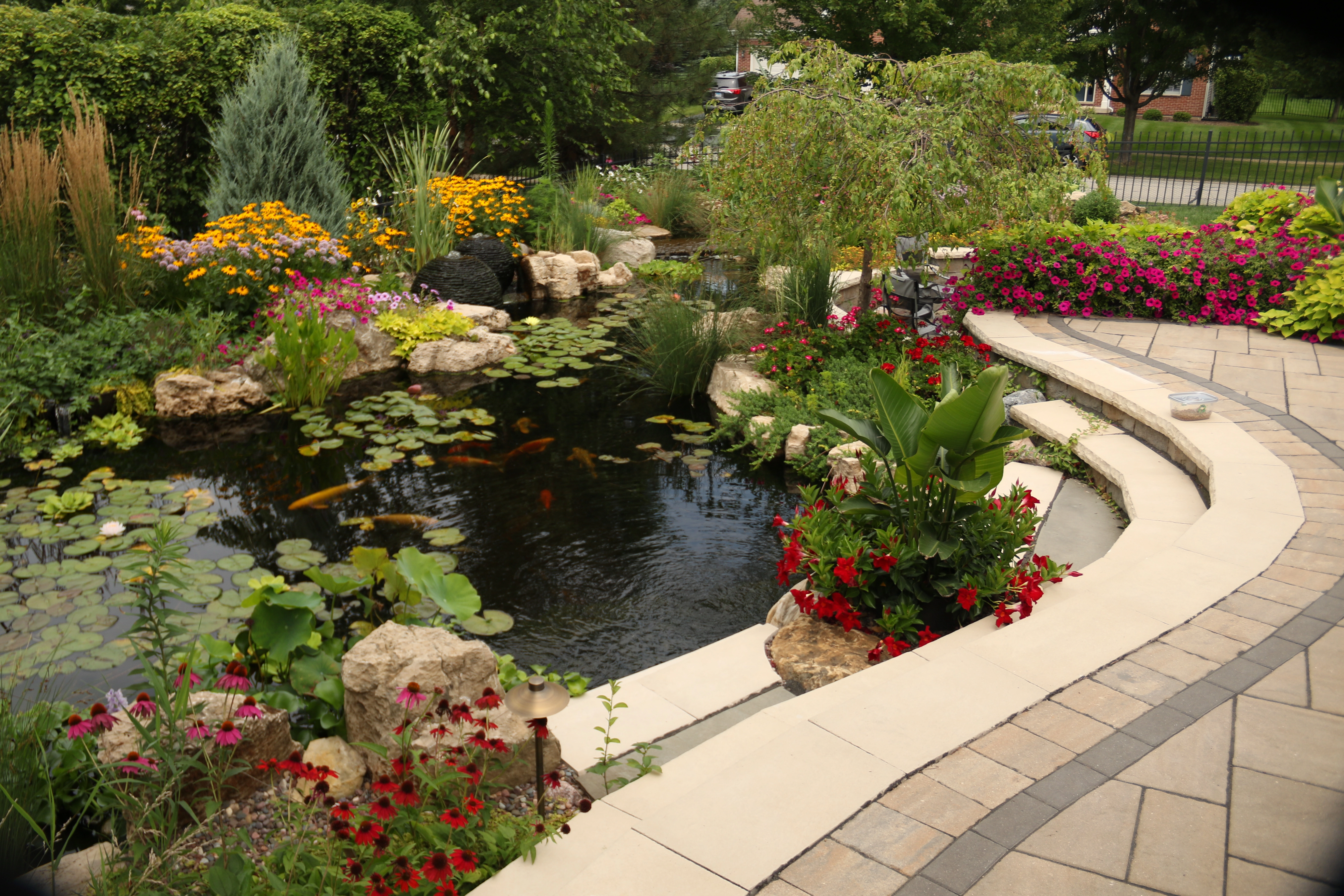 Ecosystem pond with clear water, fish, and aquatic plants in Southern Minnesota
