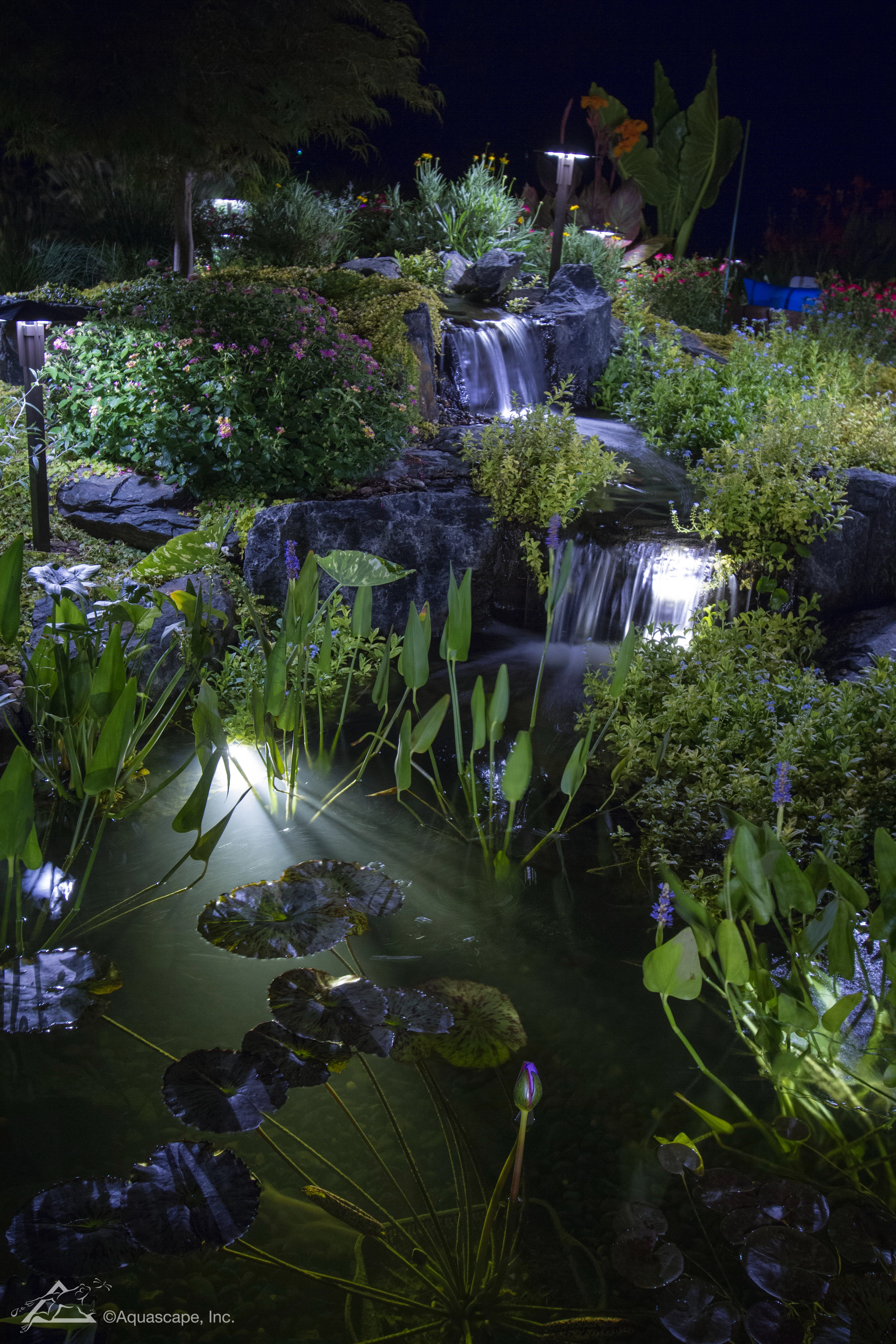 Backyard pond and waterfall with nighttime lighting in St. Peter Minnesota