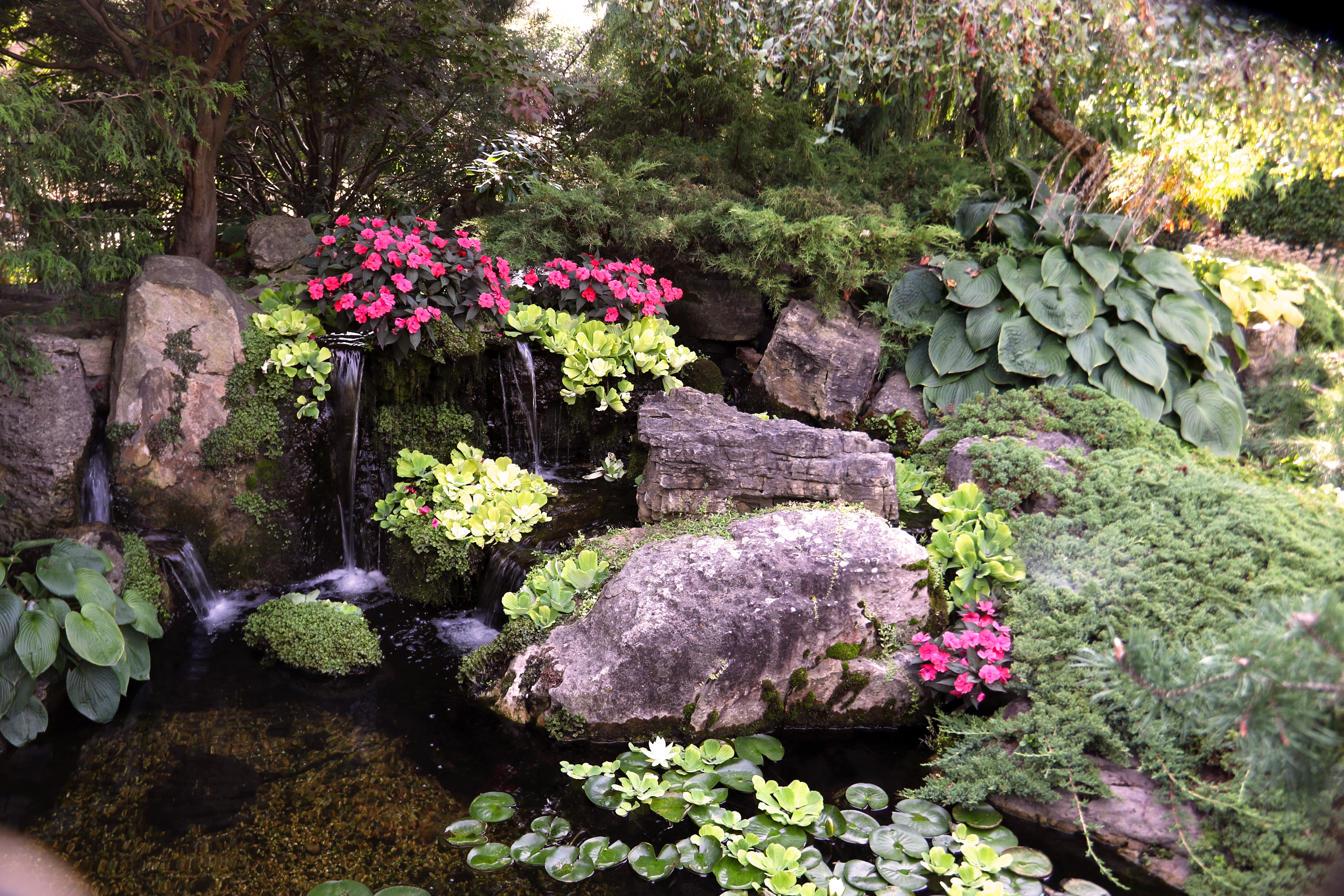 Large ecosystem pond with waterfalls, landscaping, and natural stone