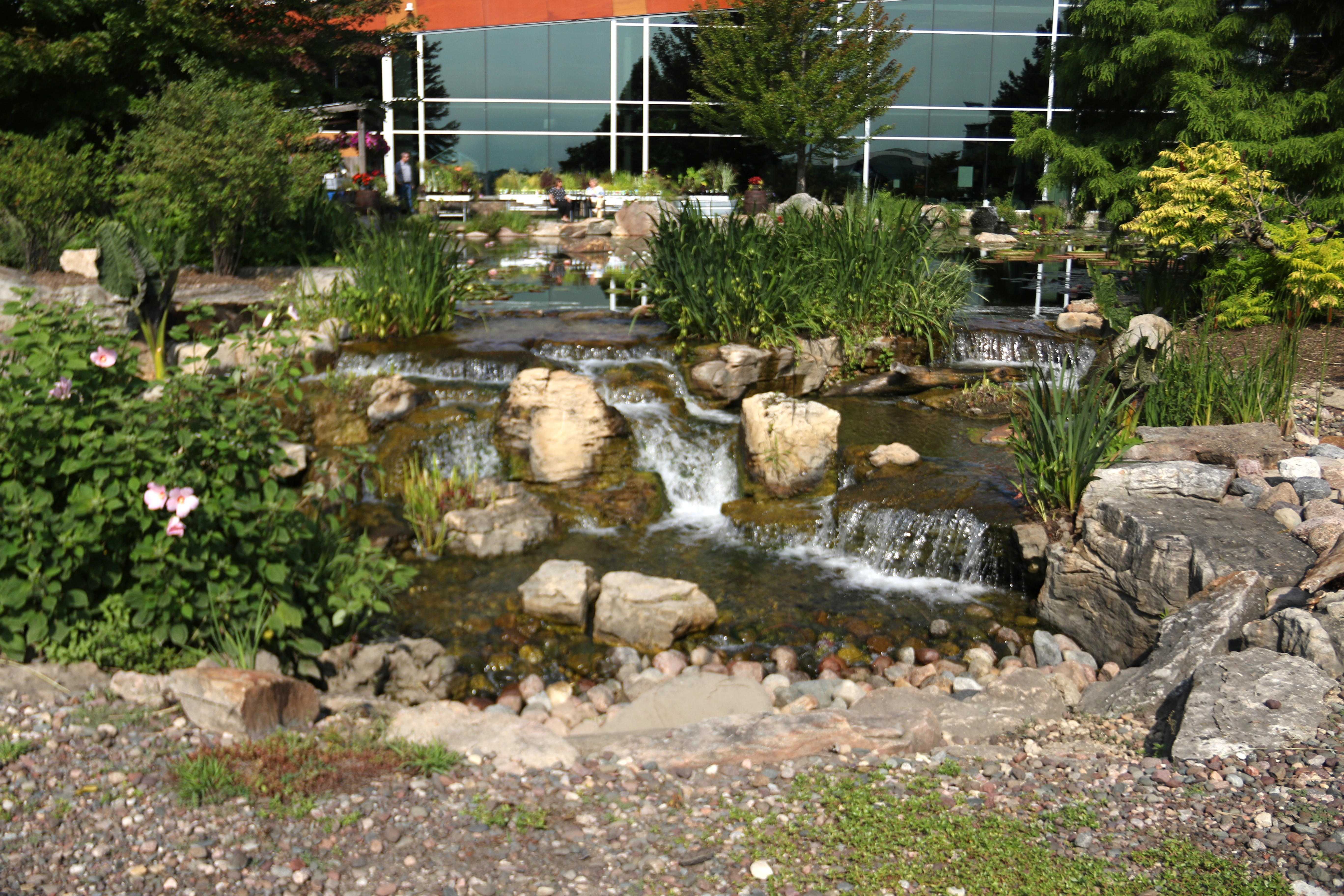 Large recreational ecosystem pond with expansive landscaping and waterfalls