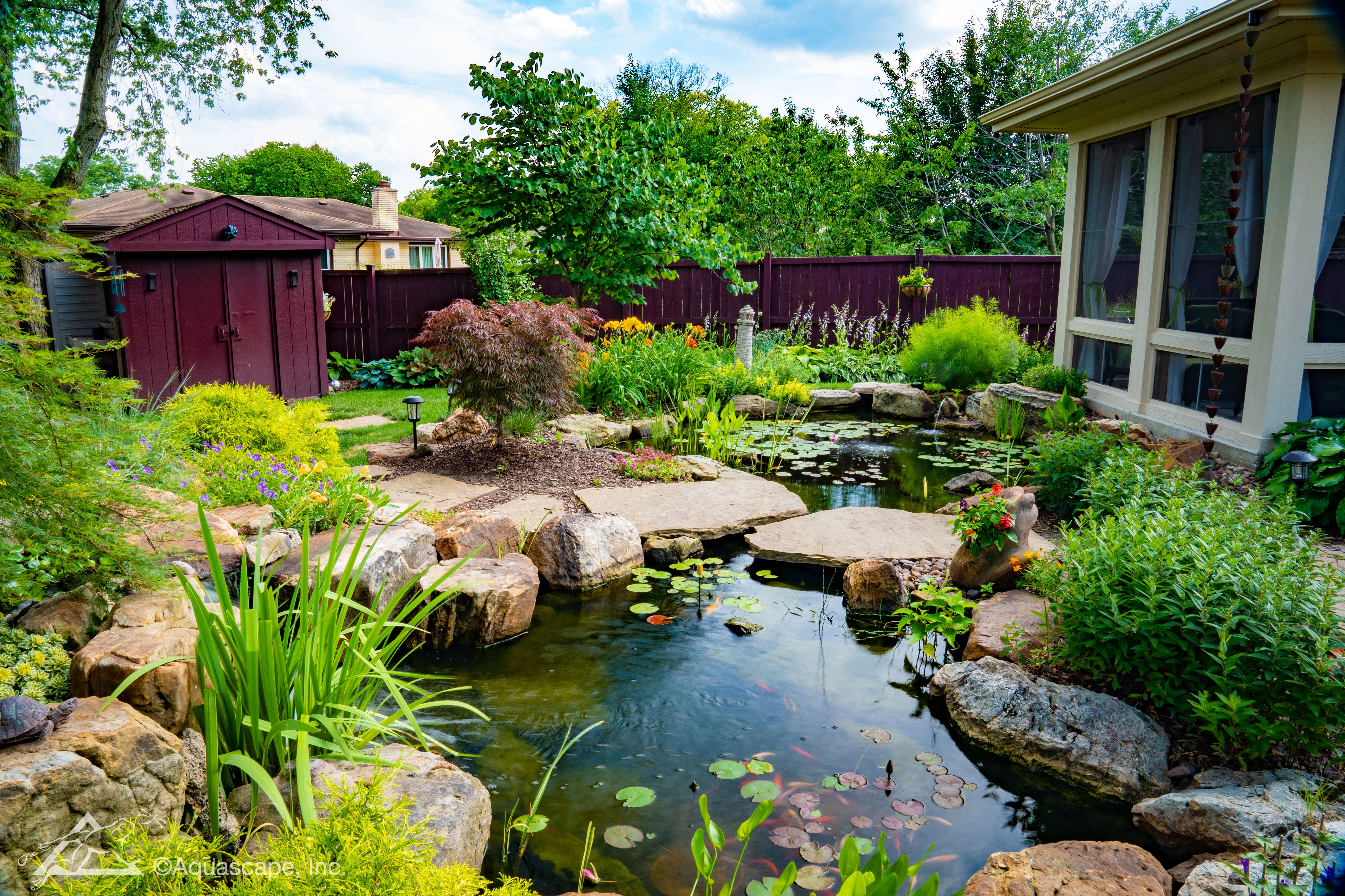 Medium ecosystem pond integrated into a backyard landscape with stone, plants, and water lilies