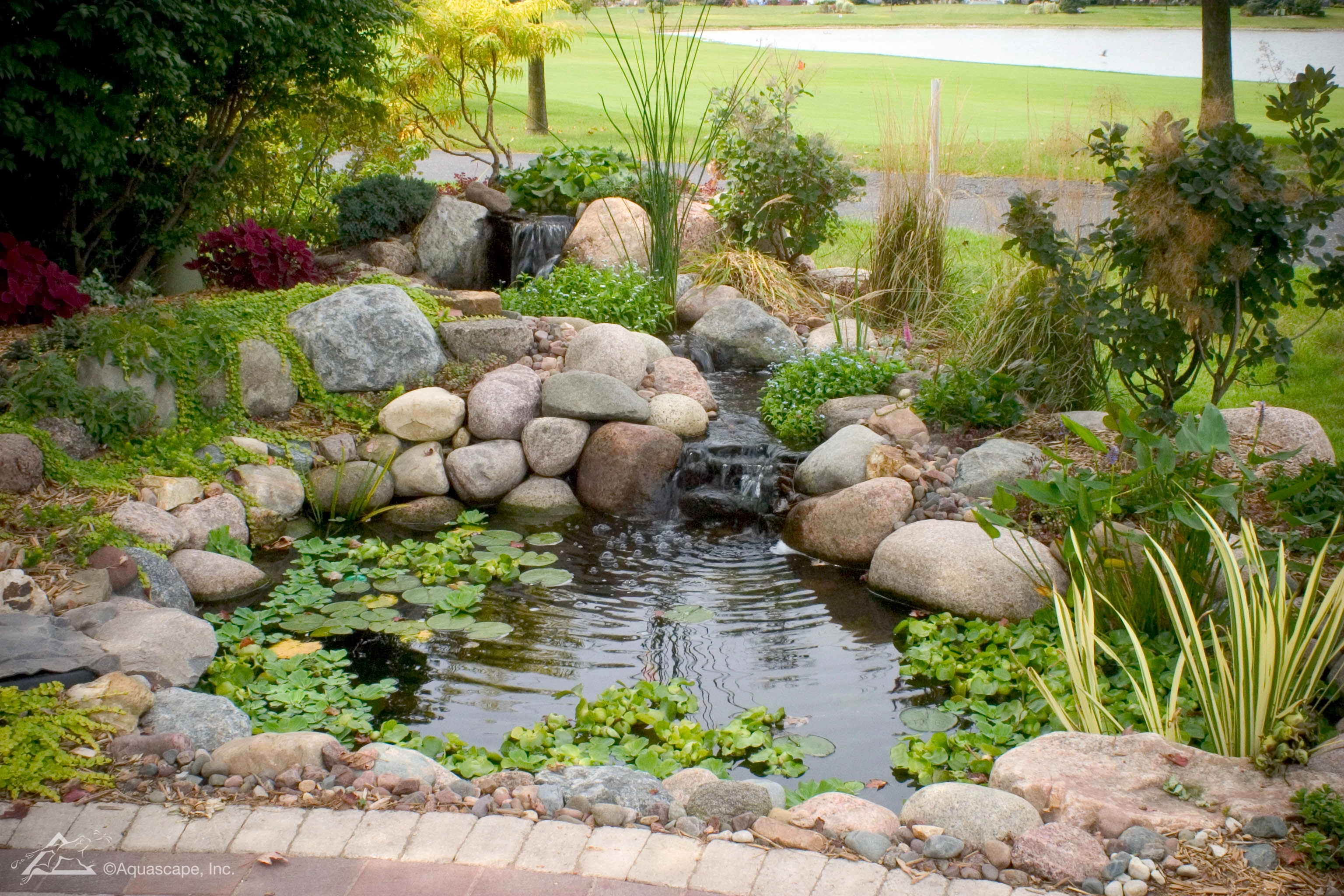 Small ecosystem pond with waterfall, natural stone, and aquatic plants
