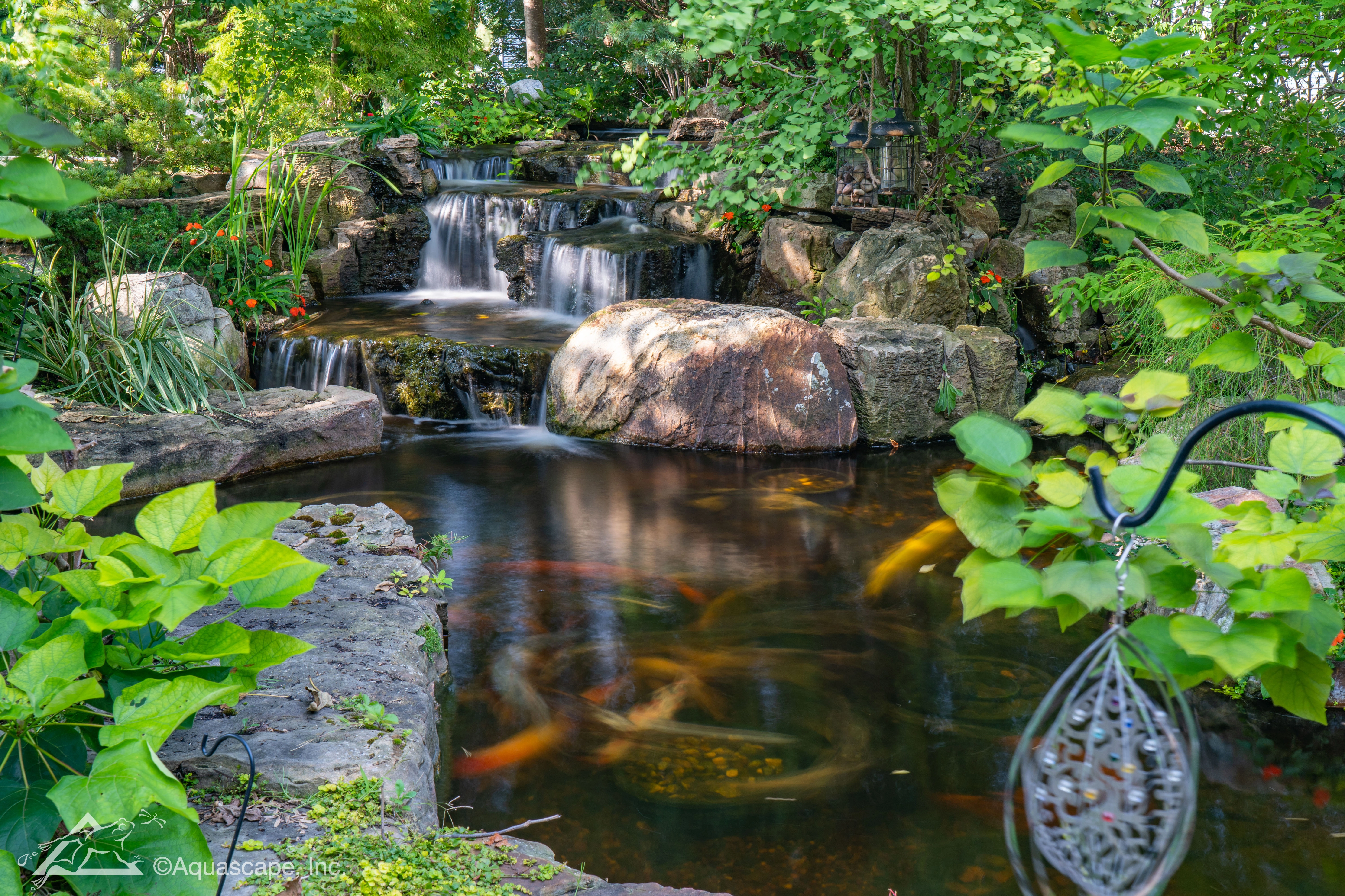 Large backyard pond and waterfall system designed for outdoor enjoyment