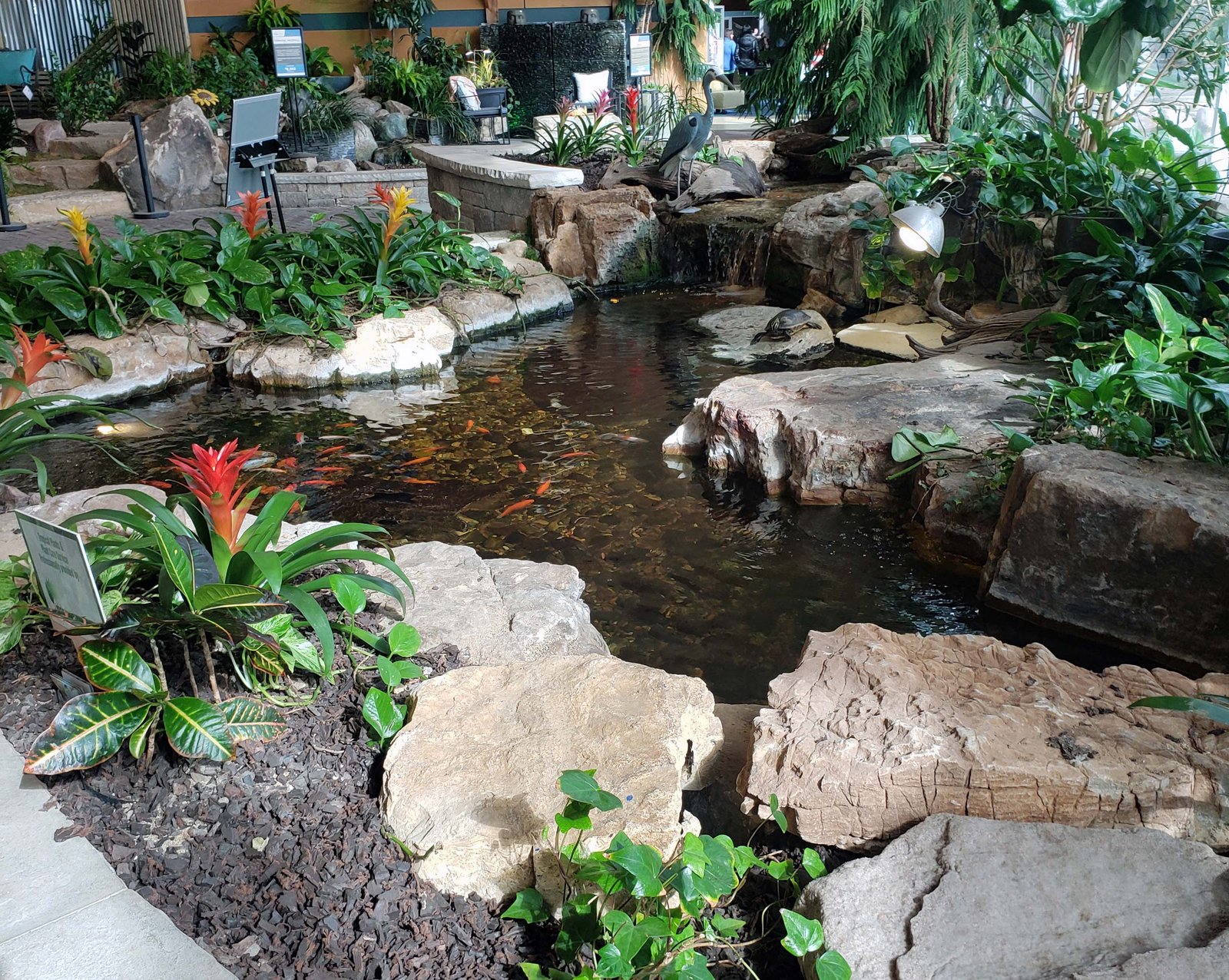 pond in Aquascape retail store