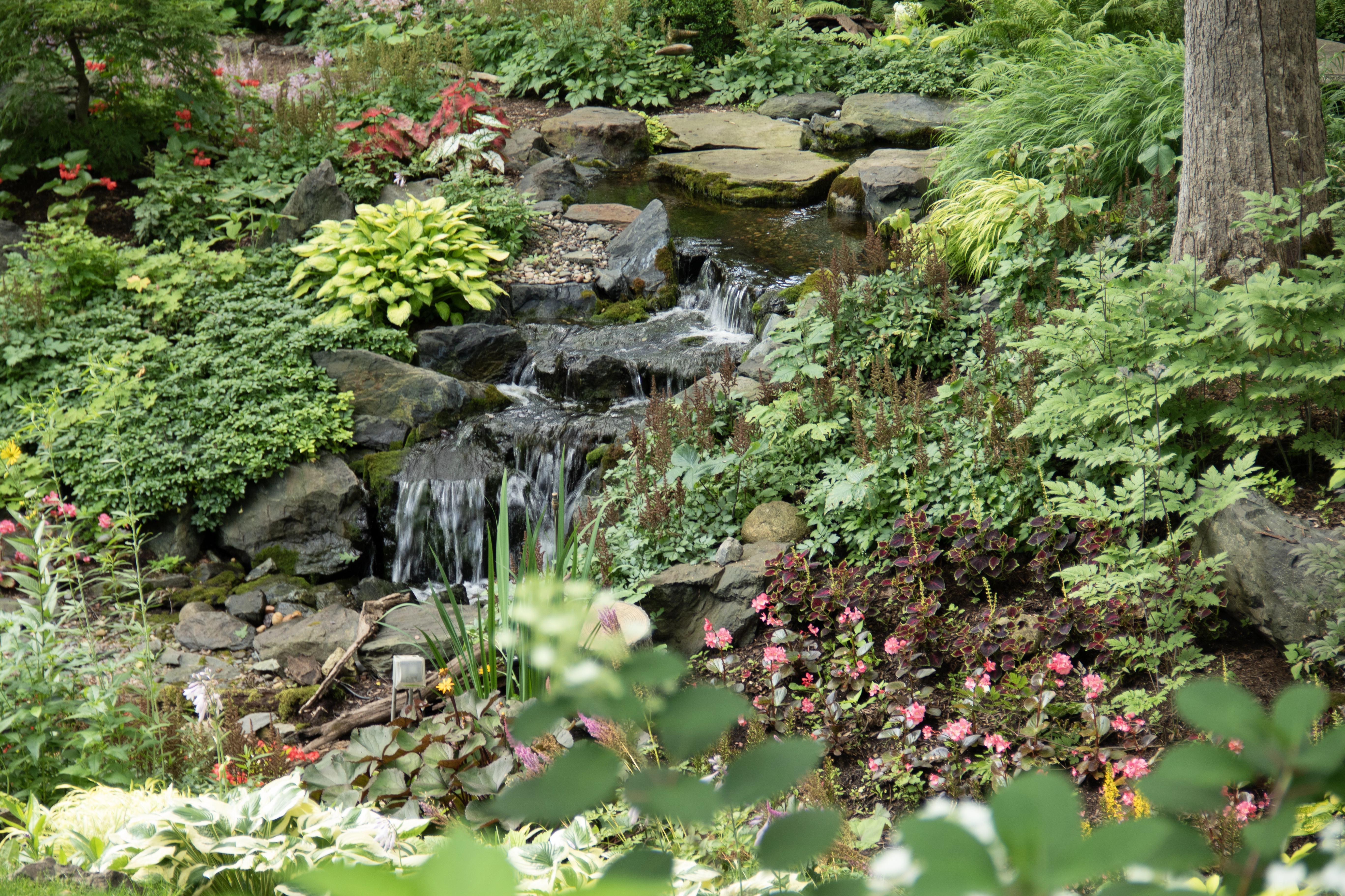 Natural pondless waterfall flowing through landscaped backyard setting